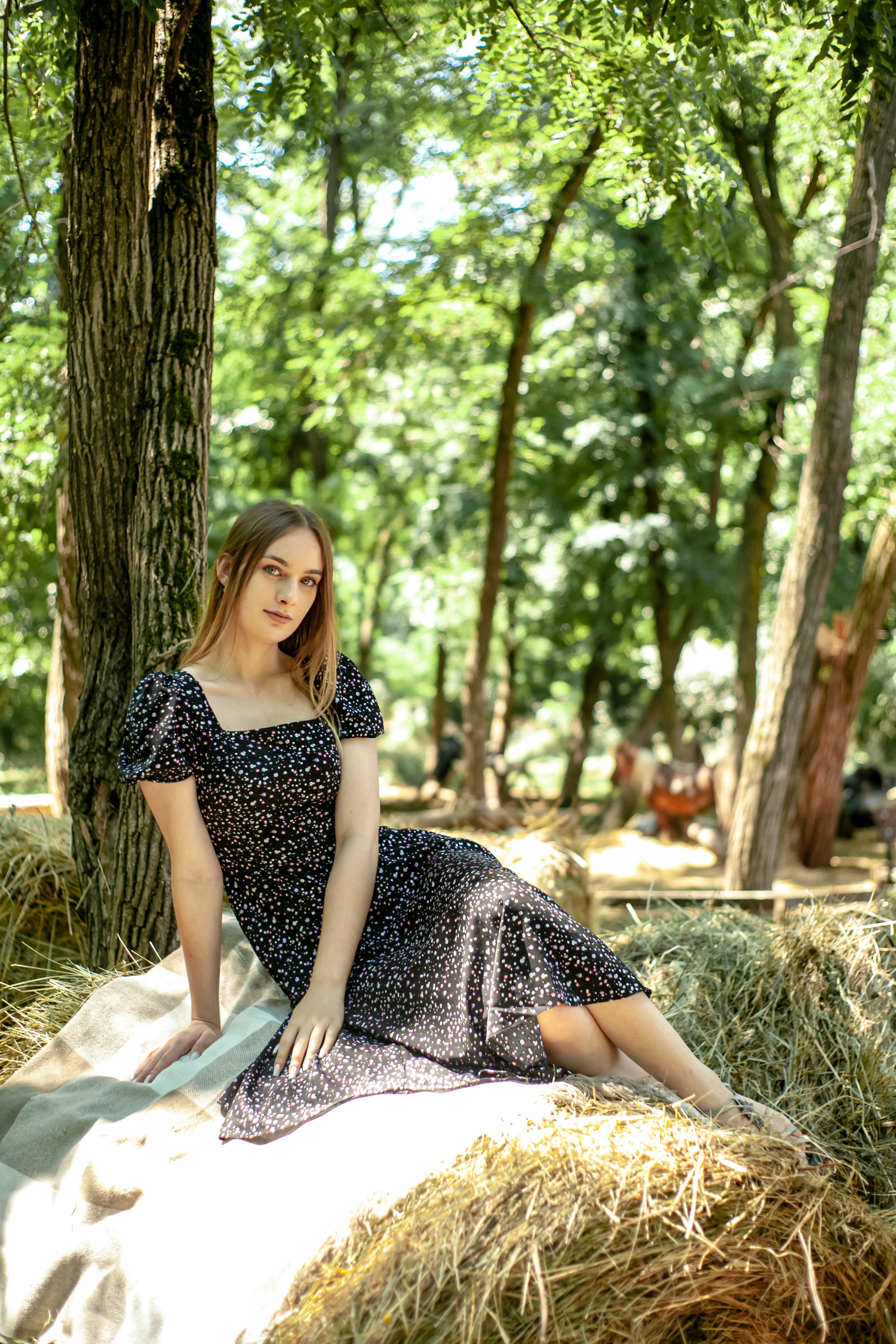 Прогулка с Лошадьми. Свадебный и семейный фотограф в Армавире