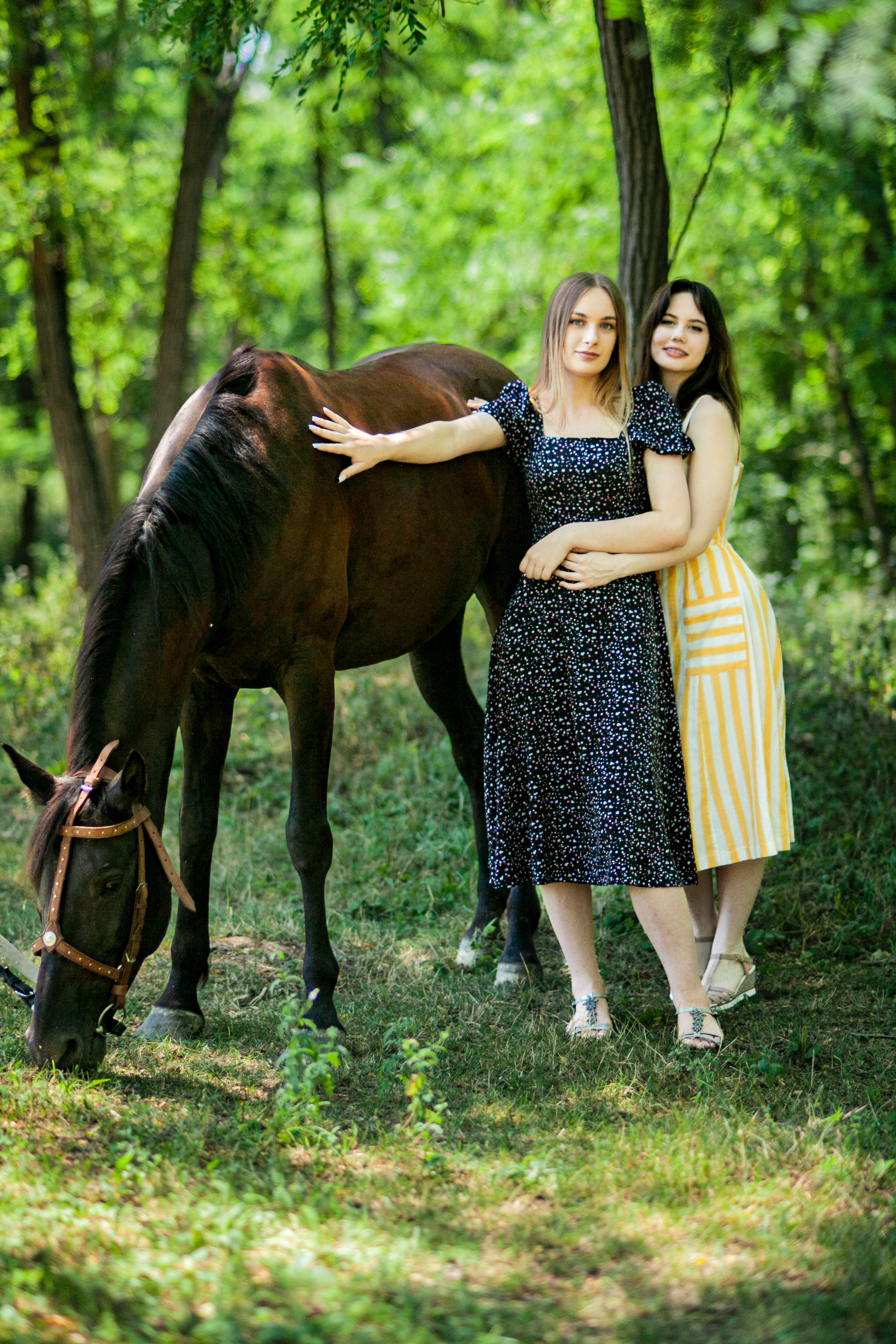 Прогулка с Лошадьми. Свадебный и семейный фотограф в Армавире