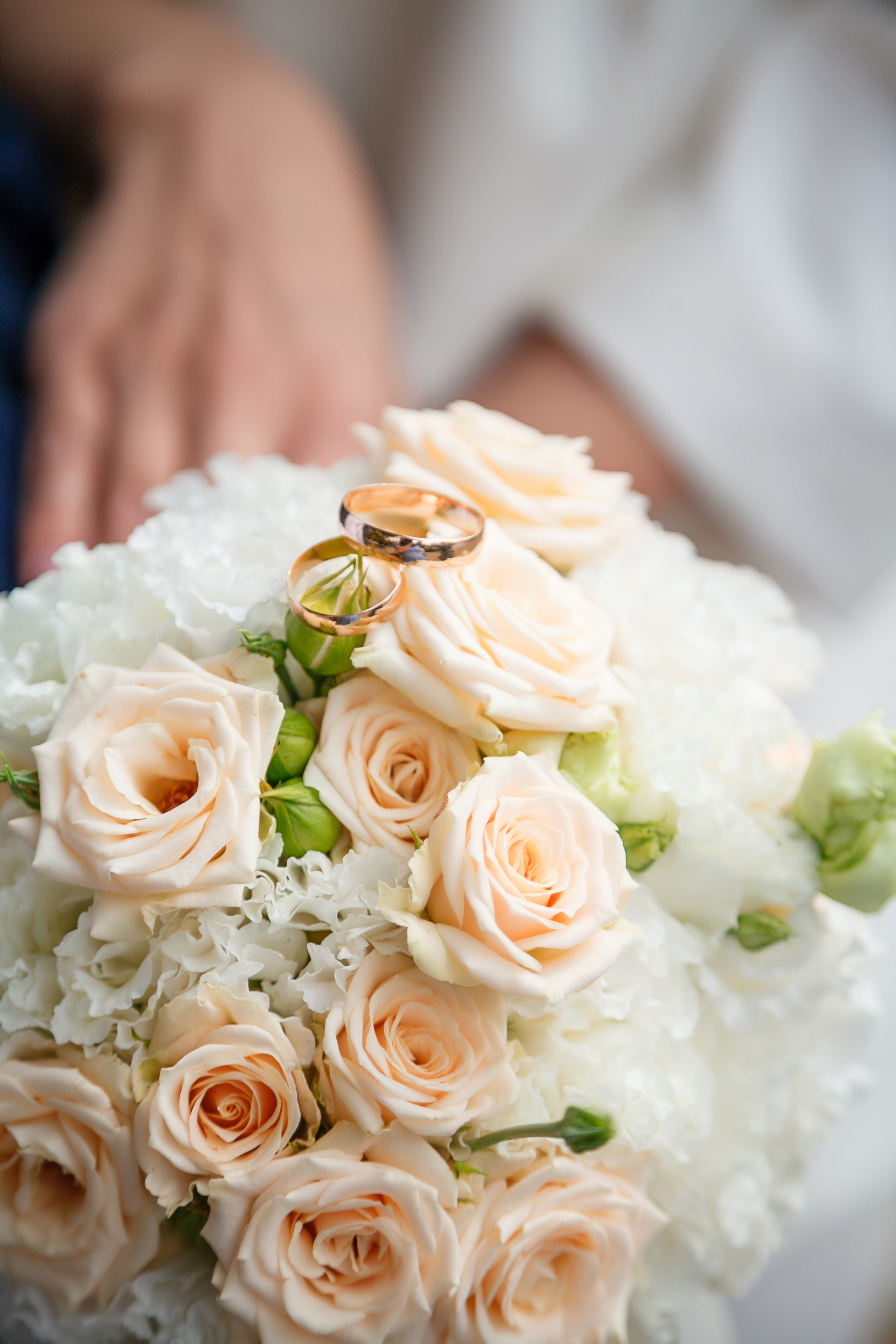 9.09.23. Свадебный и семейный фотограф в Армавире