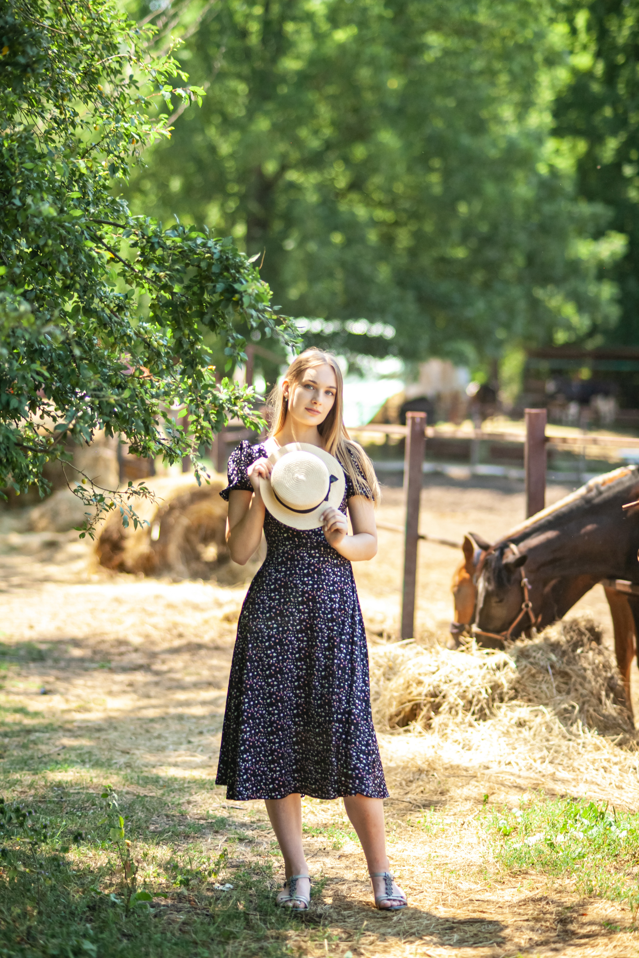 Прогулка с Лошадьми. Свадебный и семейный фотограф в Армавире