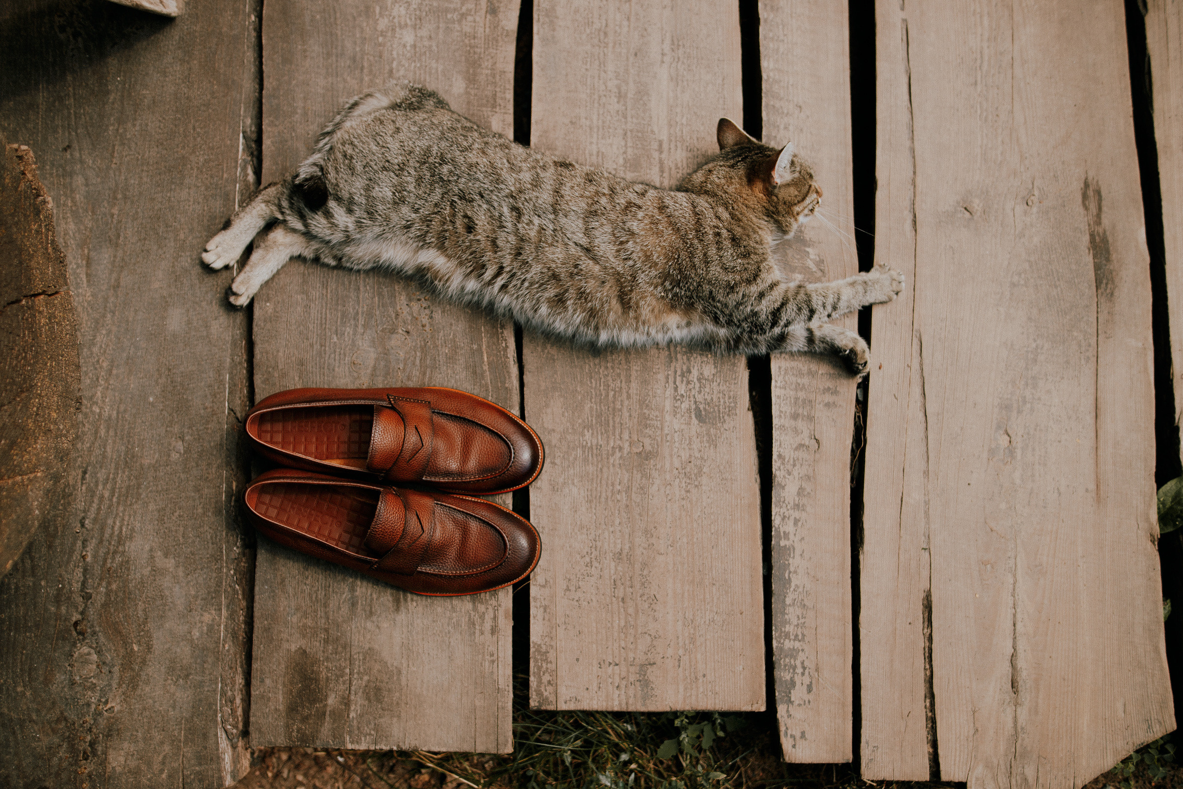 Катя и Сережа. Свадебный фотограф в Москве и Ярославле Павел Кандауров