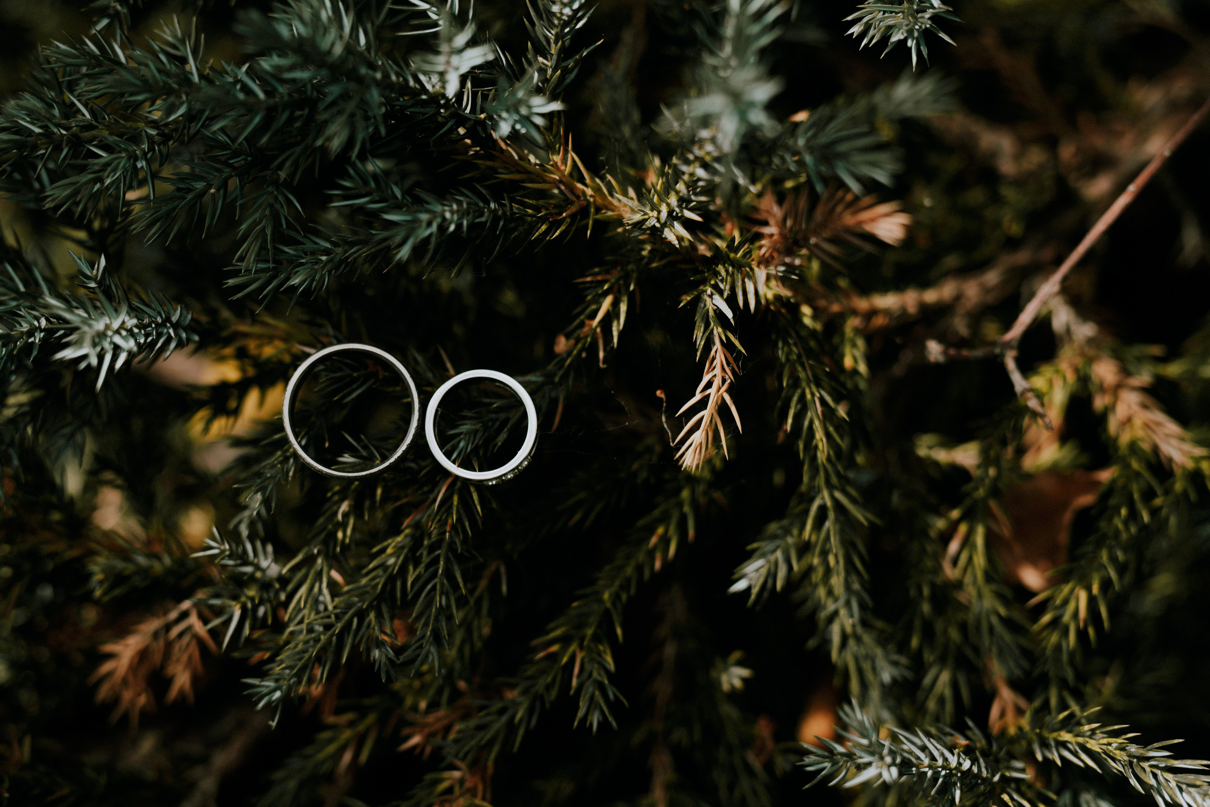 Катя и Сережа. Свадебный фотограф в Москве и Ярославле Павел Кандауров