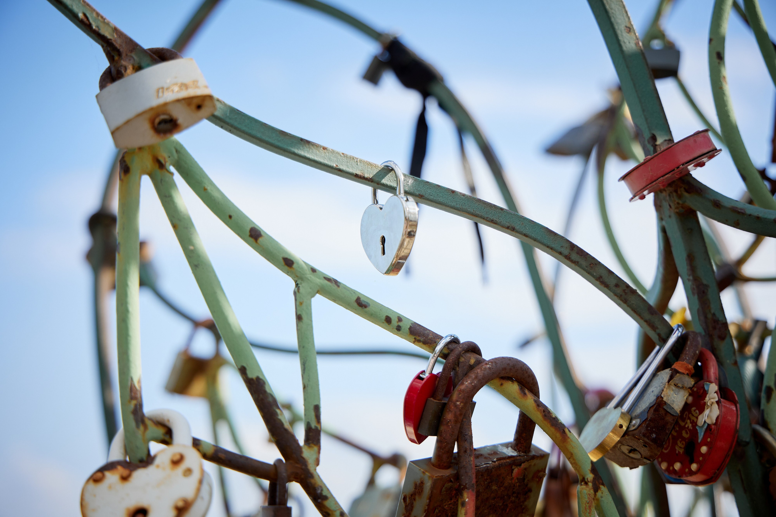 Фотосъемка в ЗАГСе, прогулка молодых, банкет