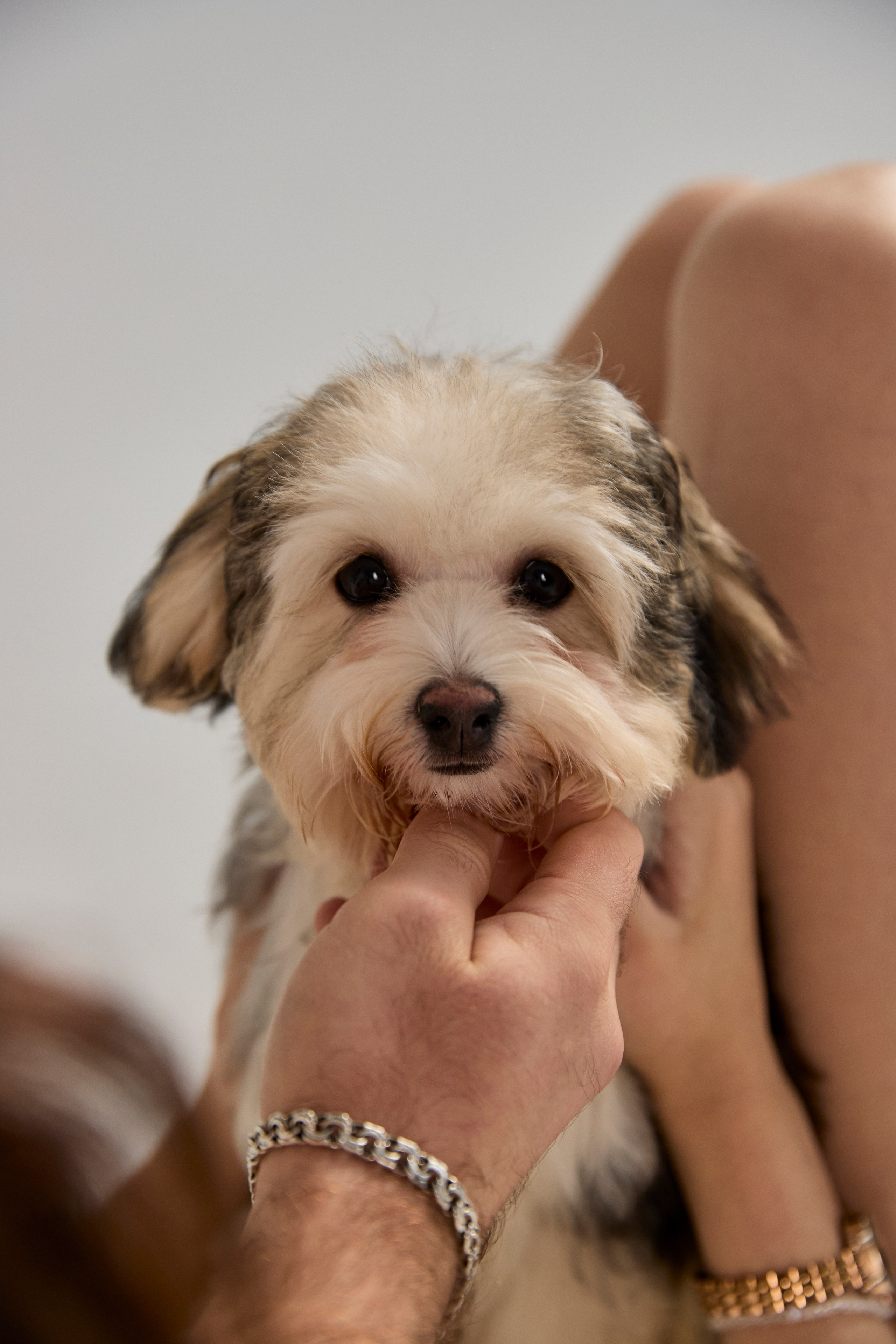 Артем & Алла. Женский фотограф