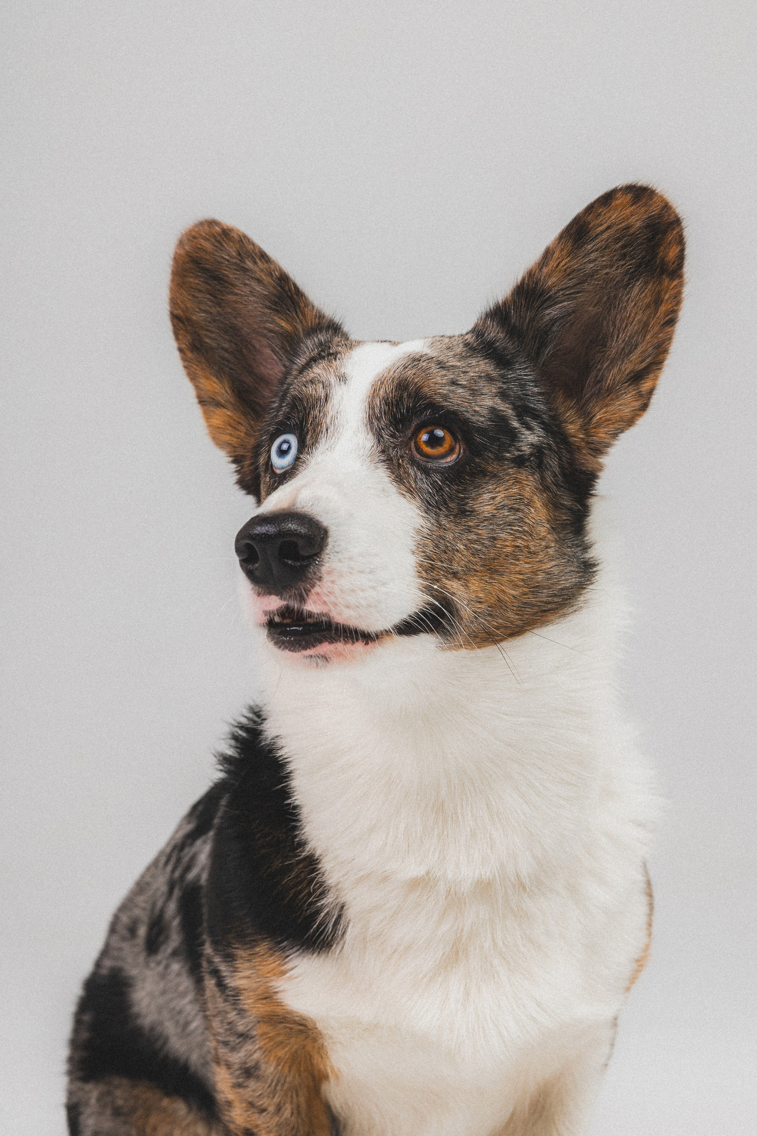 Анатолий и Рагнар