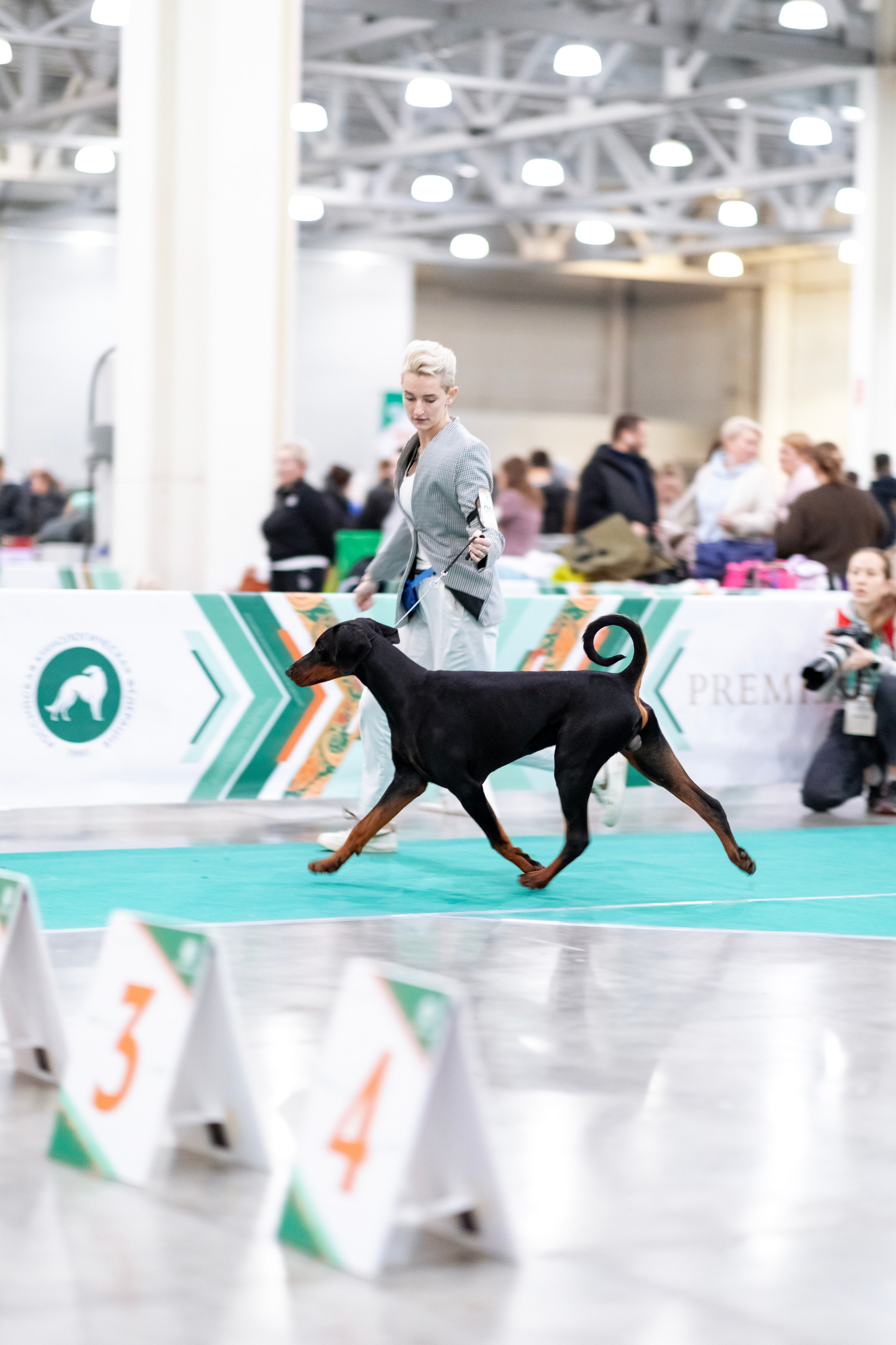 Евразия. Фотограф — анималист Татьяна Ли