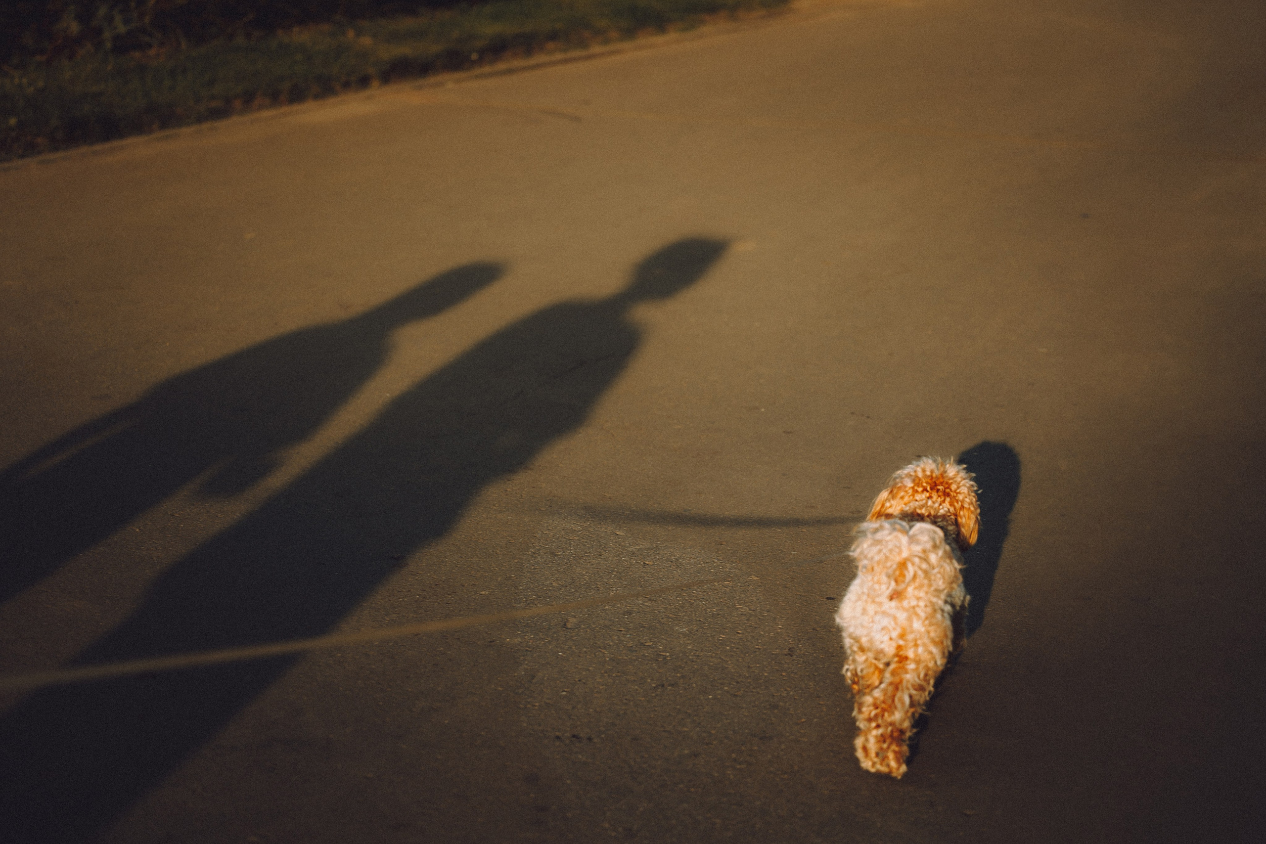 Фред и его семья