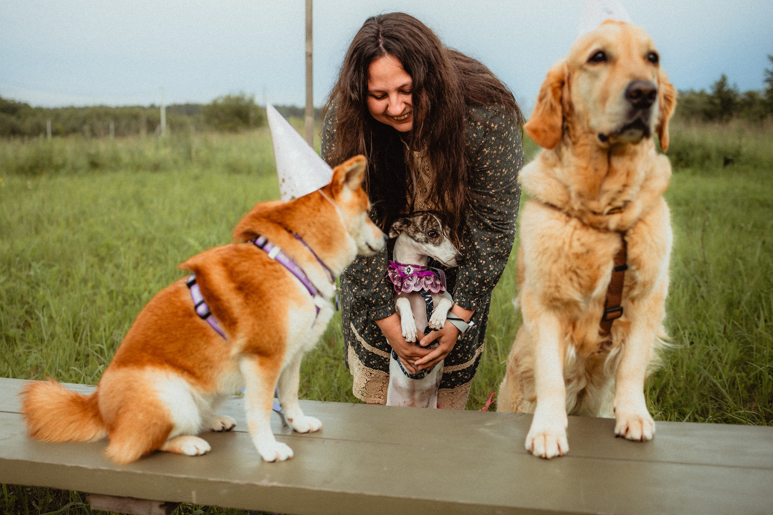 Выездной дог-тренинг от школы «Шерсть имею»