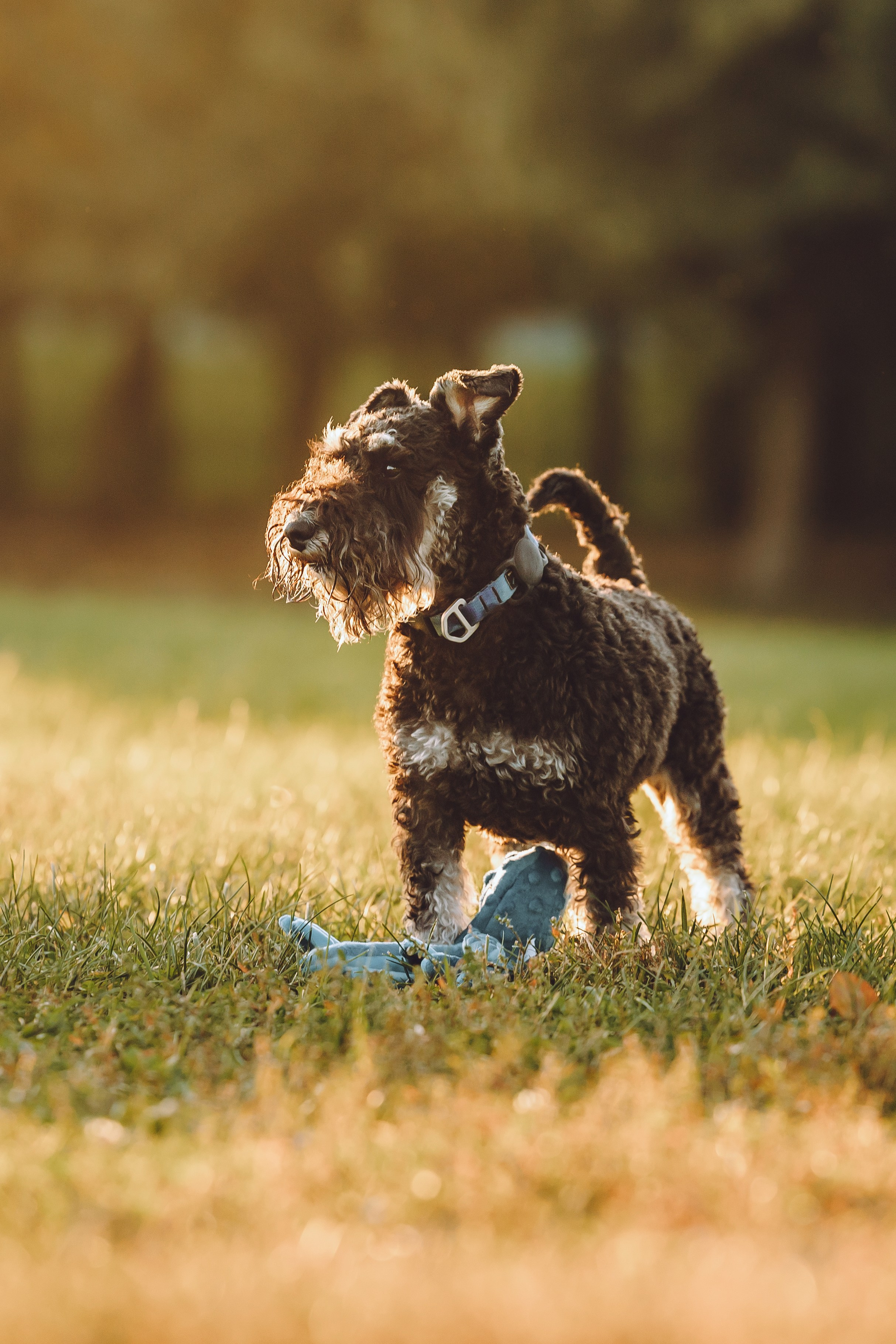 Кристина и все-все