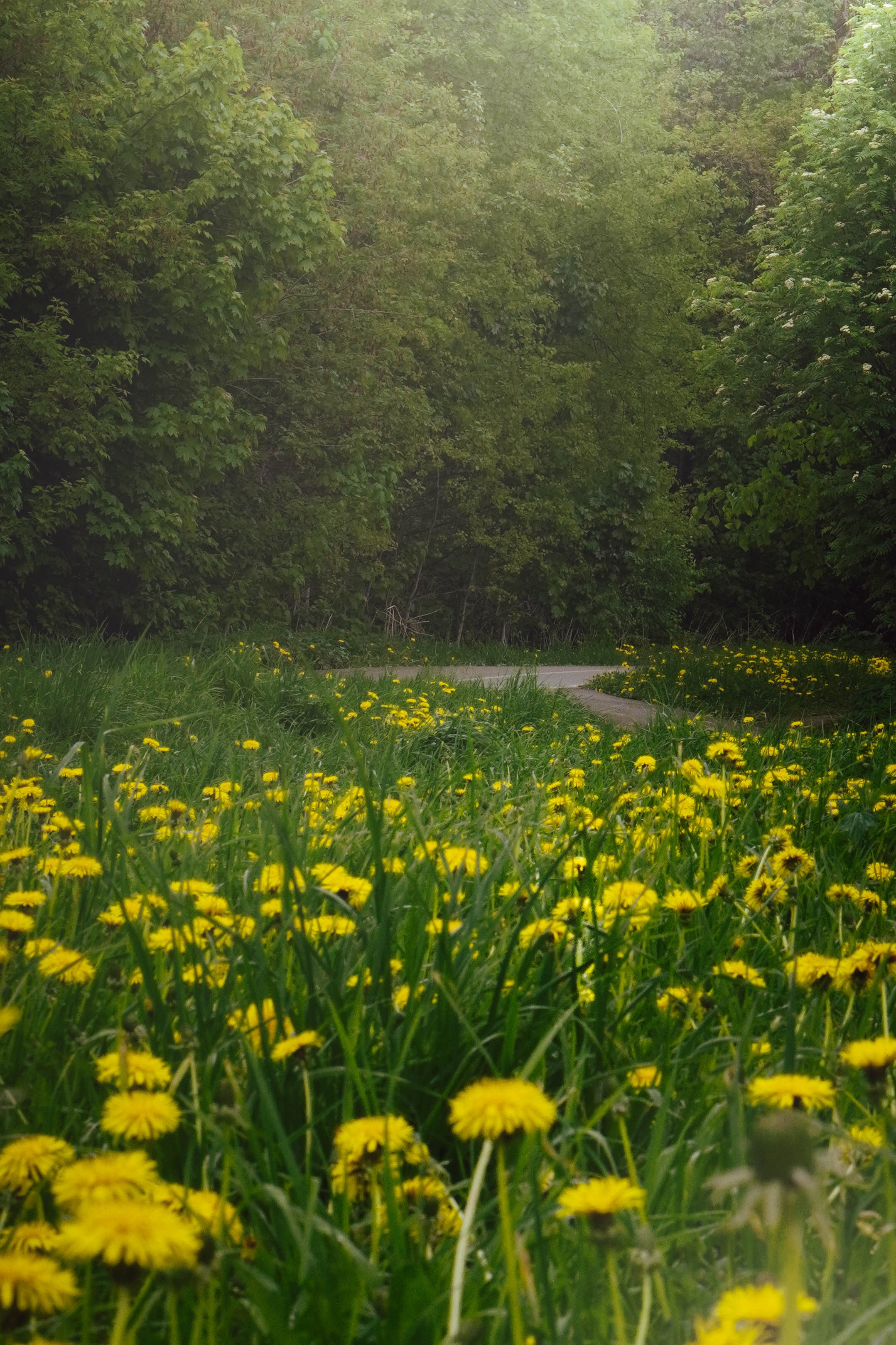 Уличная съёмка (2). Видео и Фото