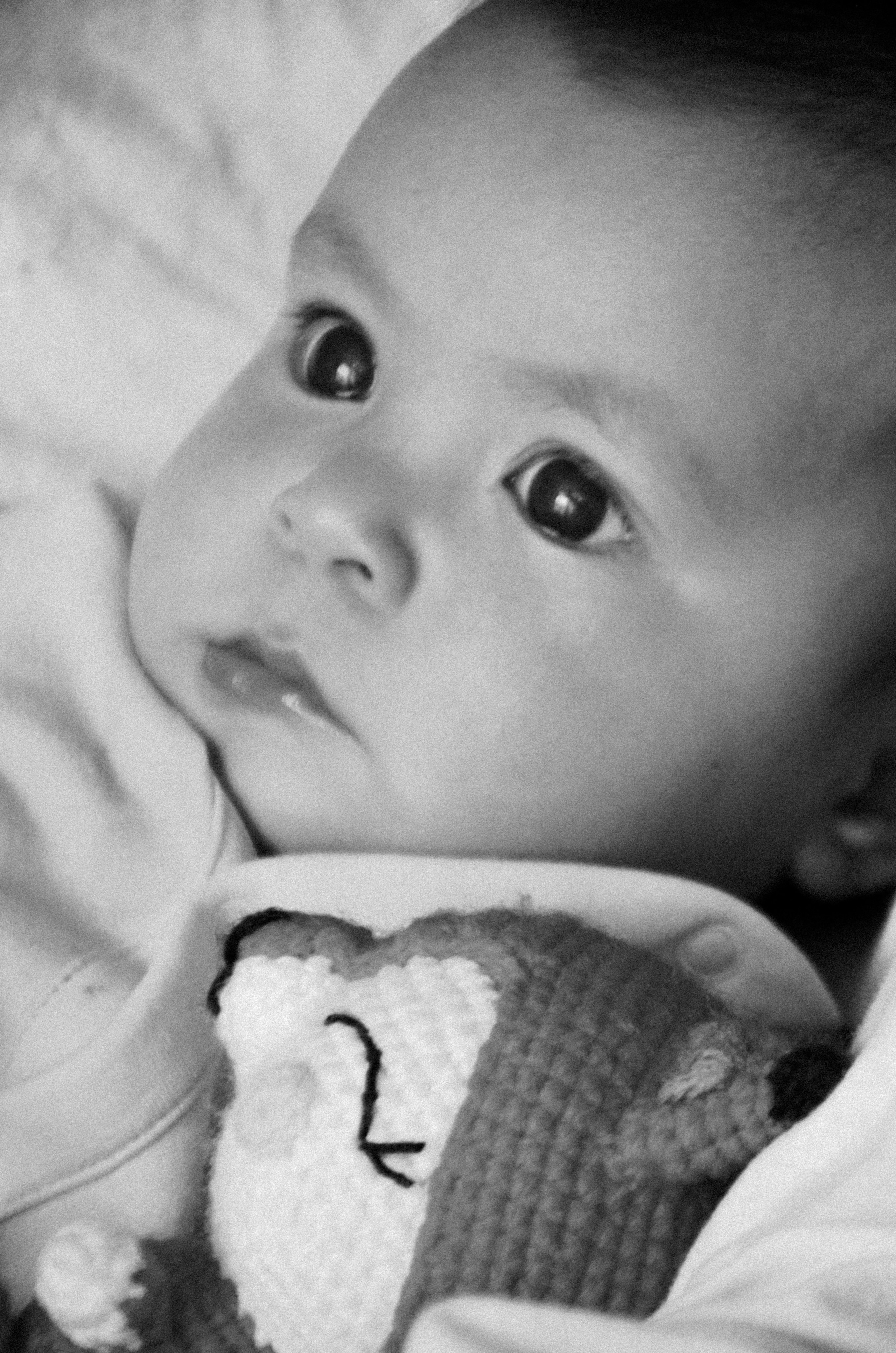 СЕМЬЯ. Фаниса Портретный фотограф в Тюмени