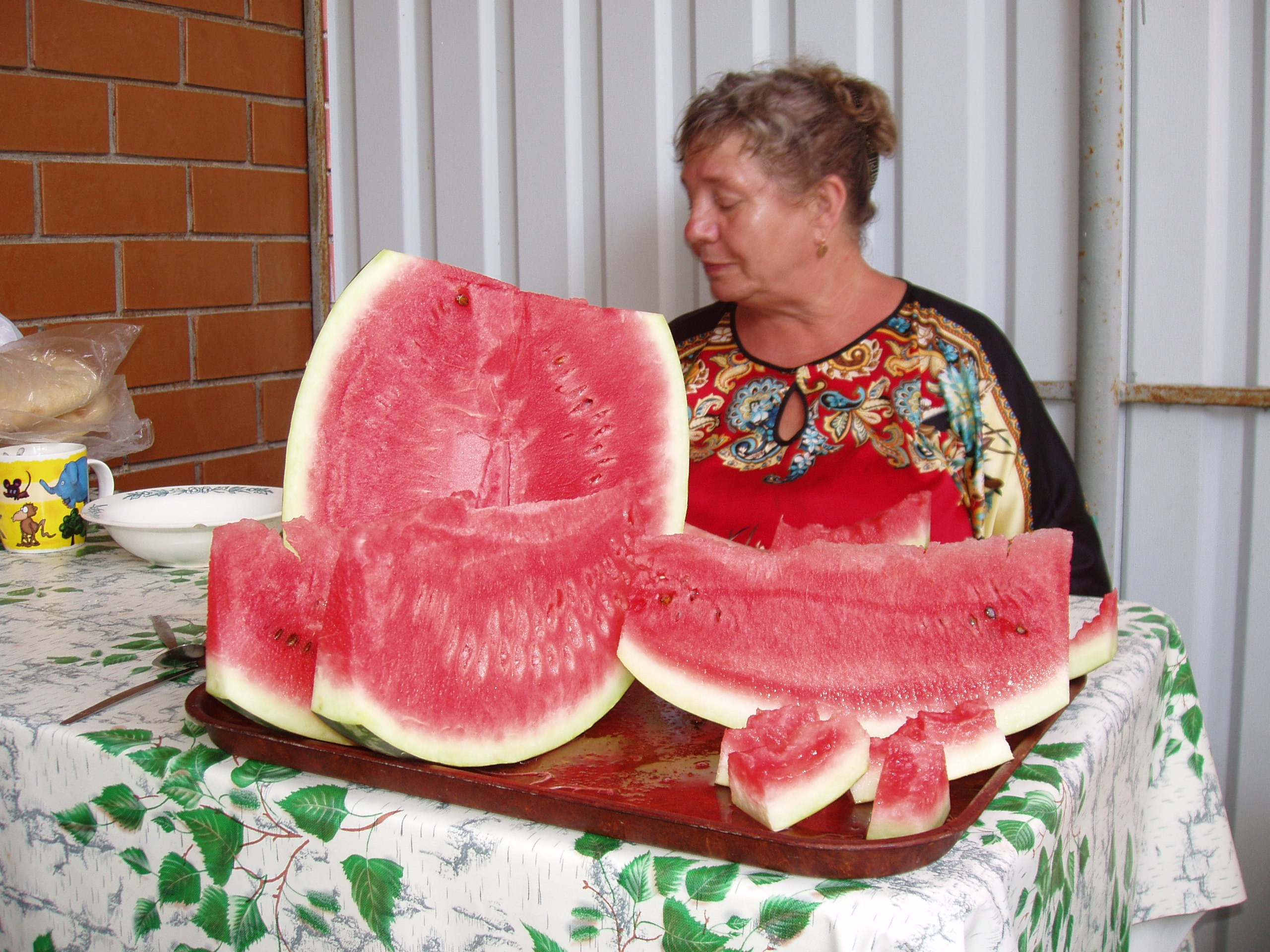 Отпуск 20.07-17.08. Семейный, Свадебный фотограф СПБ Питер— Романова Екатерина