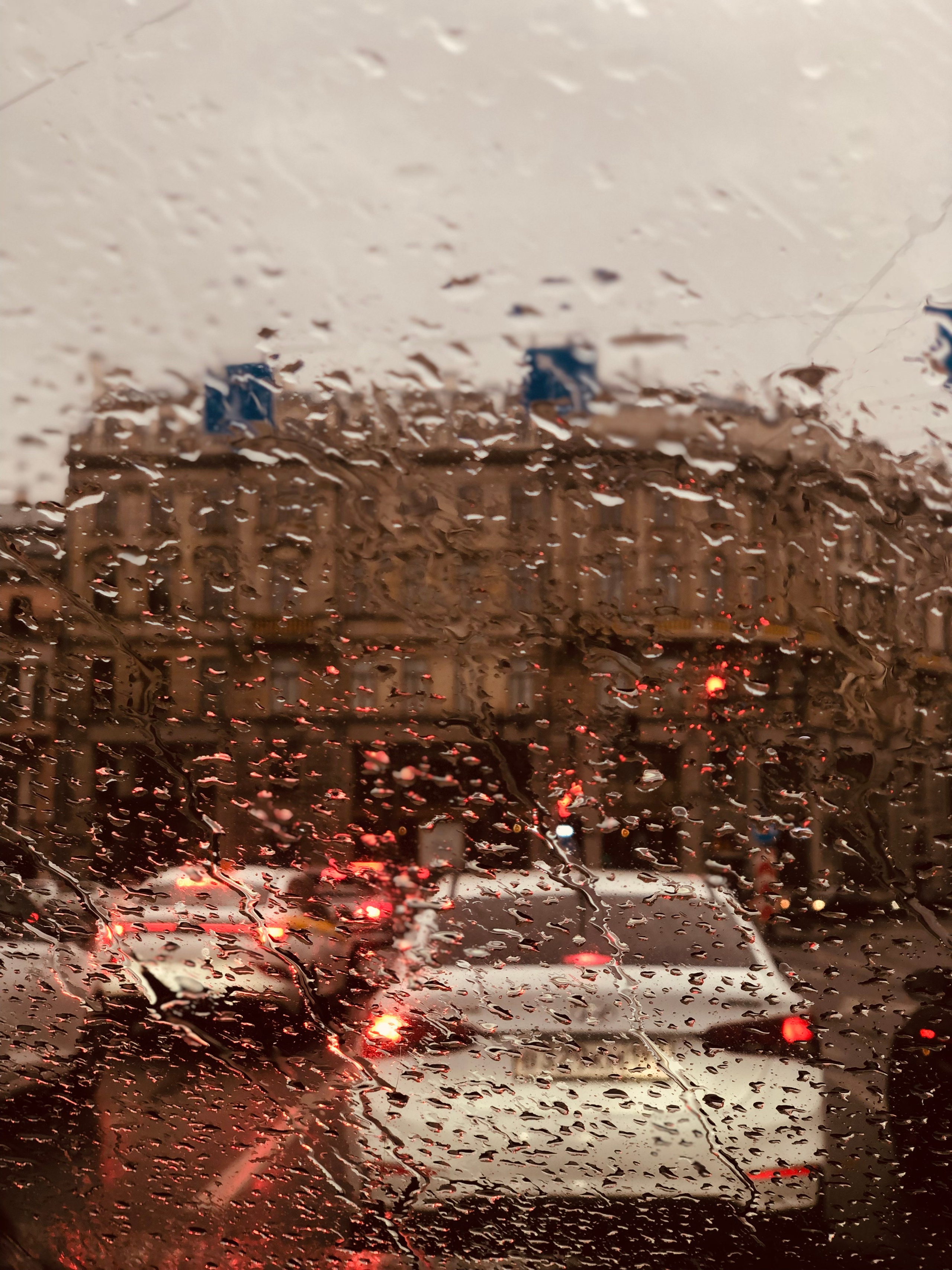 Сентябрь. Семейный, Свадебный фотограф СПБ Питер— Романова Екатерина