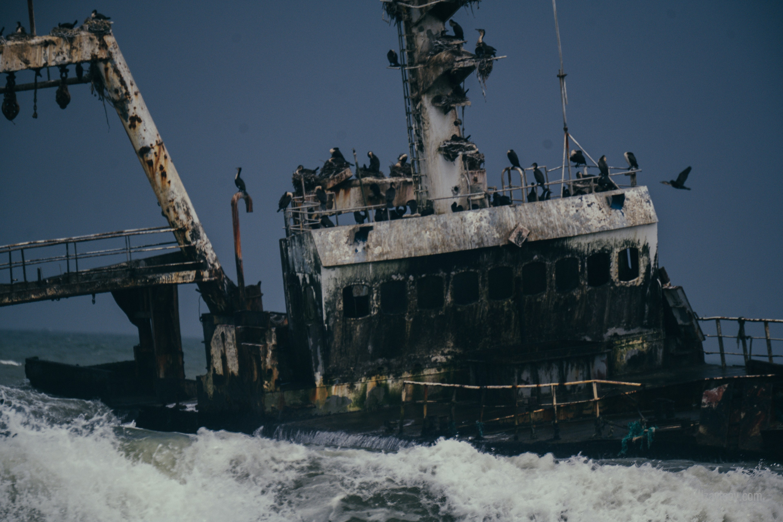 Жизнь. Профессиональный фотограф Кирилл Зайцев