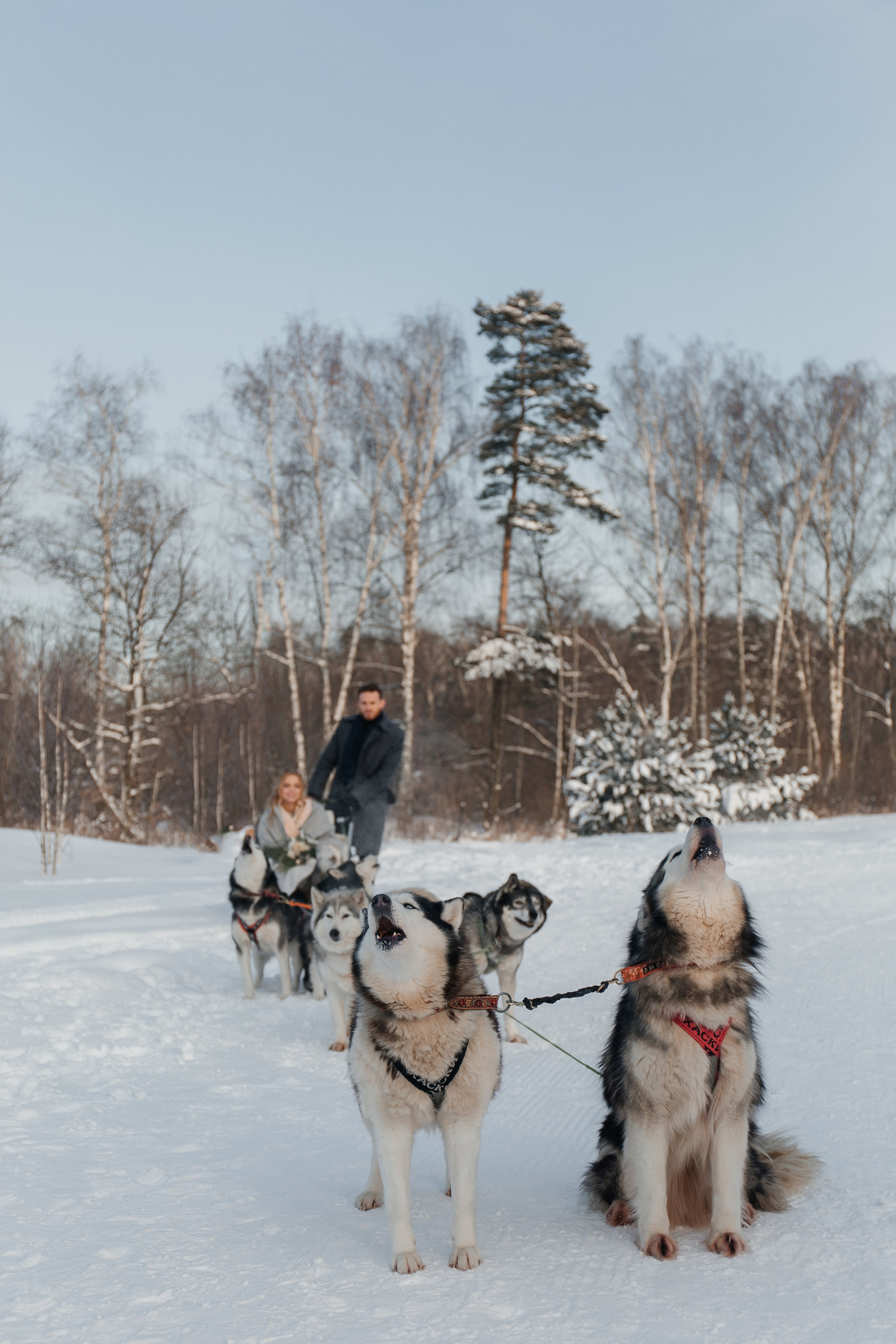 Свадебная фотосессия зимой. Фото Радости. Свадебный и семейный фотограф в Москве Юлия Самойлова