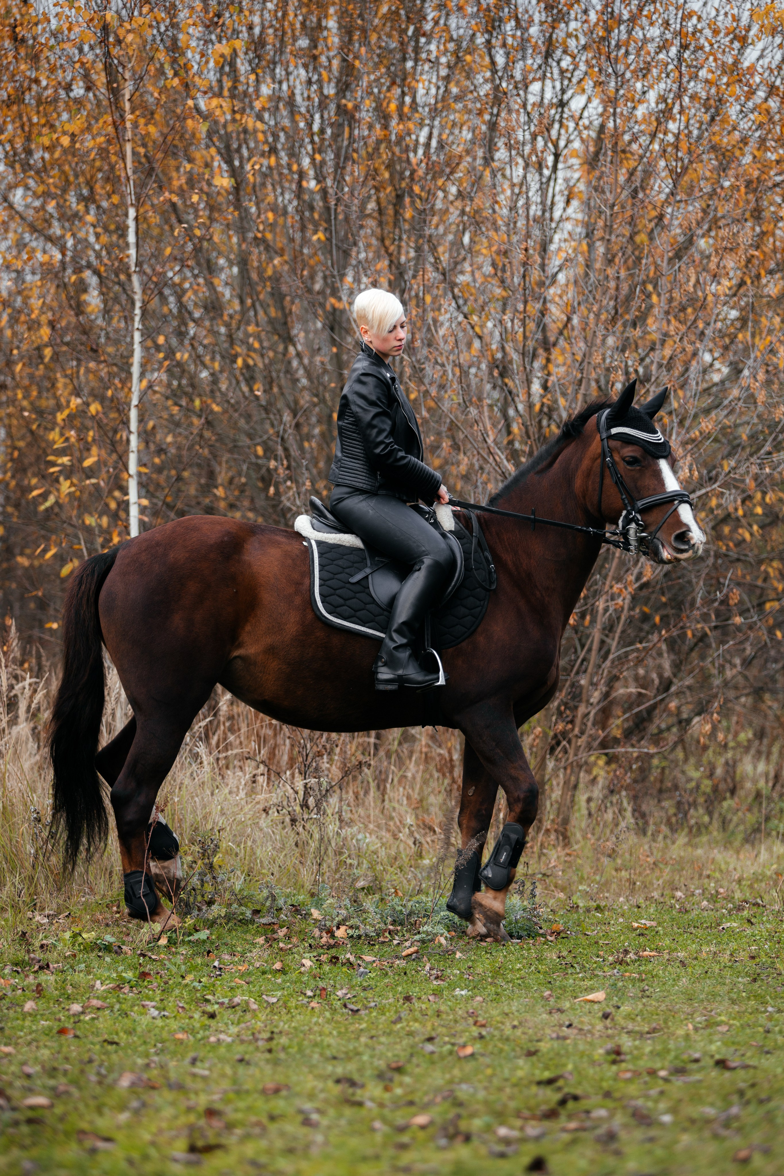 История на конюшне. Фототерапевт Ева Бунеева