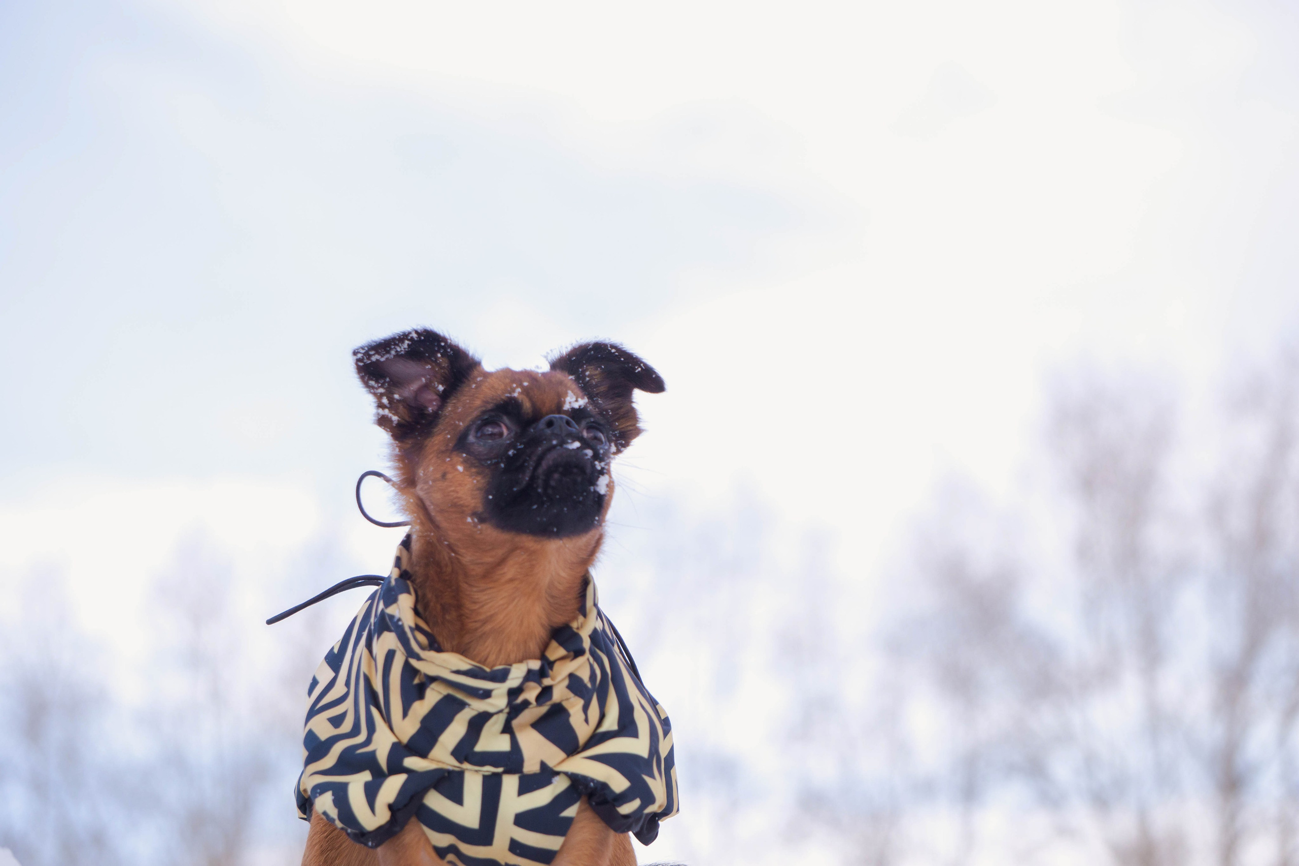 Надя и Ефим. Фотограф-анималист Ксения Воробьева, Москва