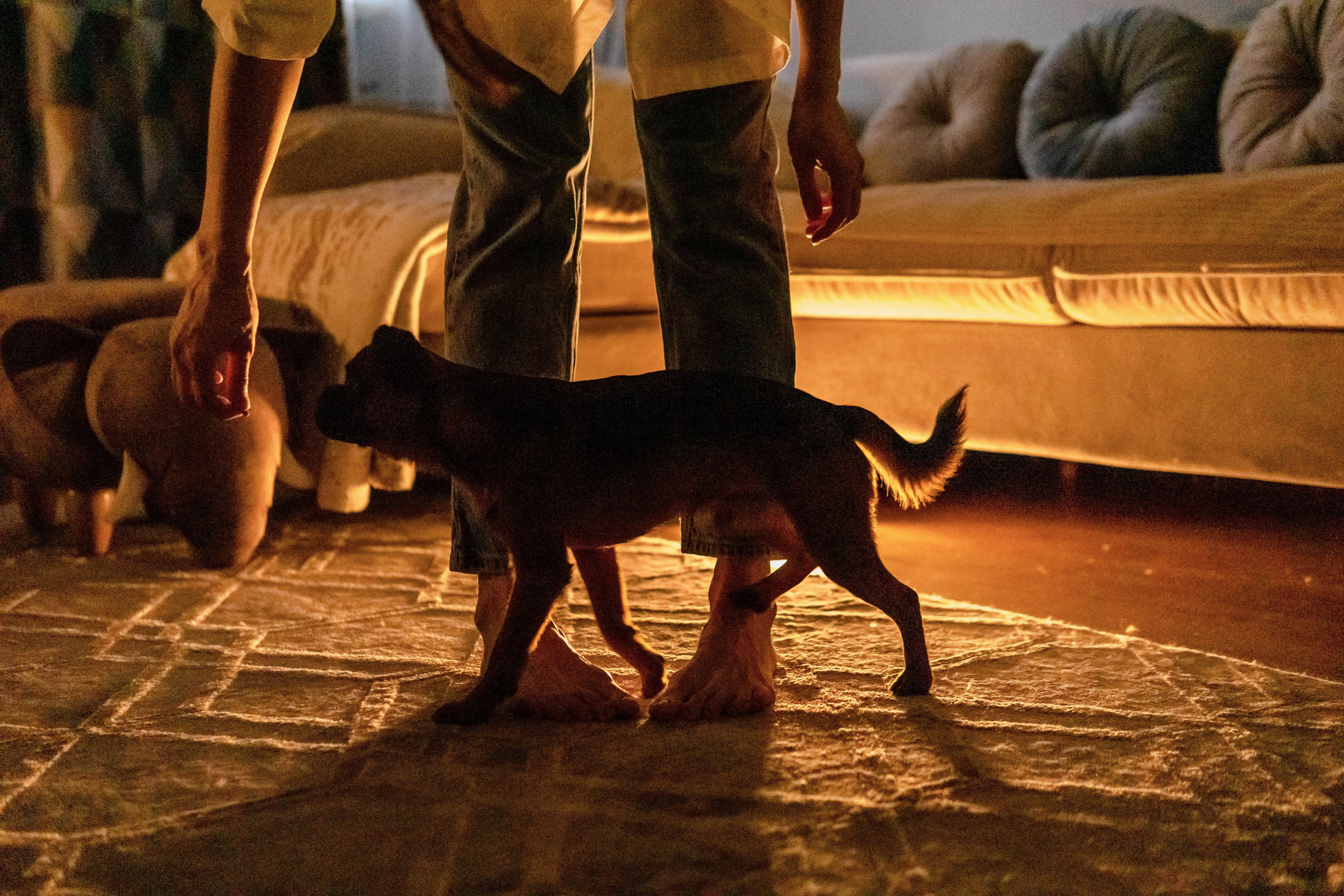 Надя и Ефим. Фотограф-анималист Ксения Воробьева, Москва