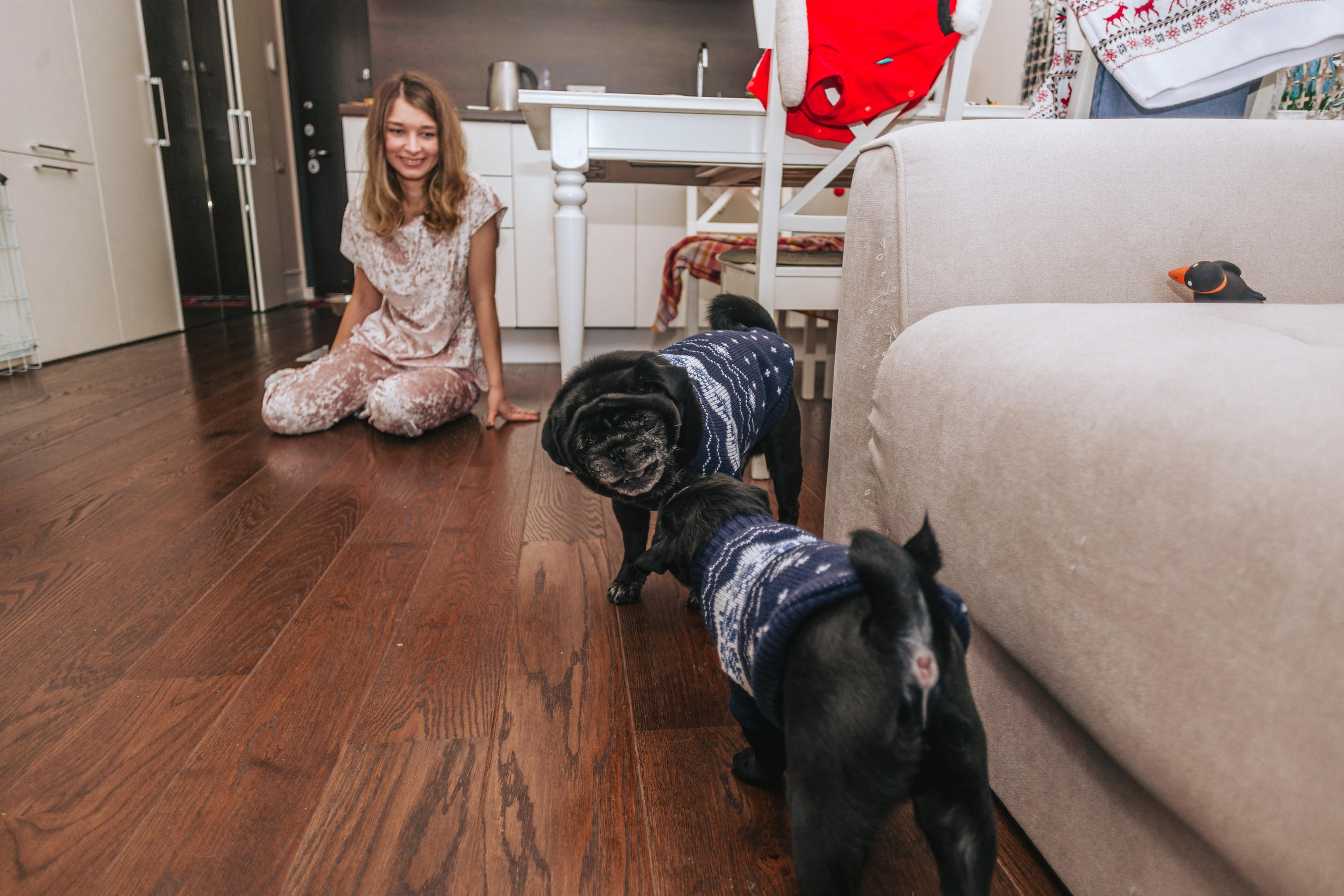 Домашняя фотосессия Оли и двух ее мопсов. Фотограф-анималист Татьяна Степанова