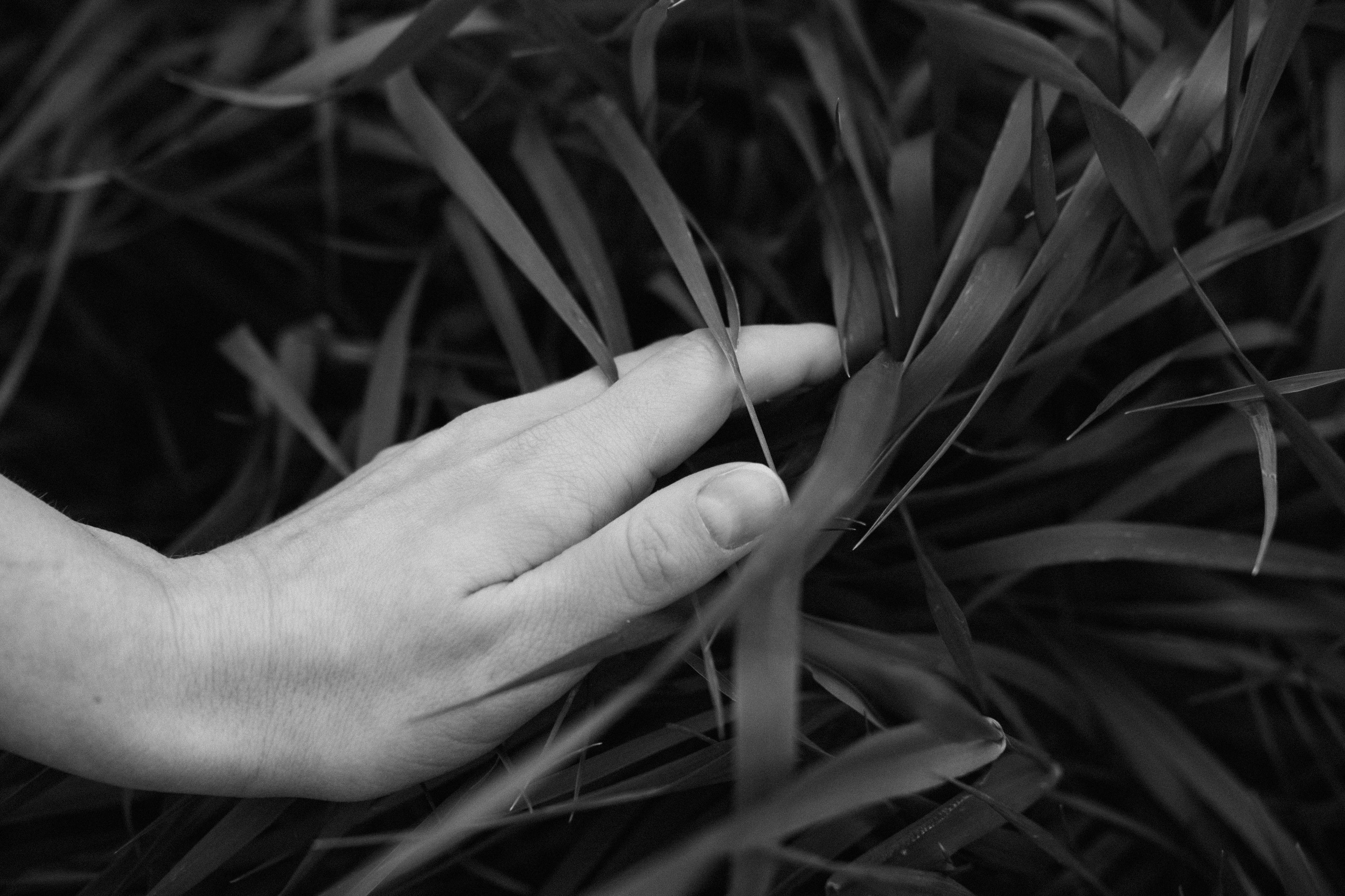 Индивидуальная фотосессия на природе. Портретный фотограф в Краснодаре Лена Шевченко