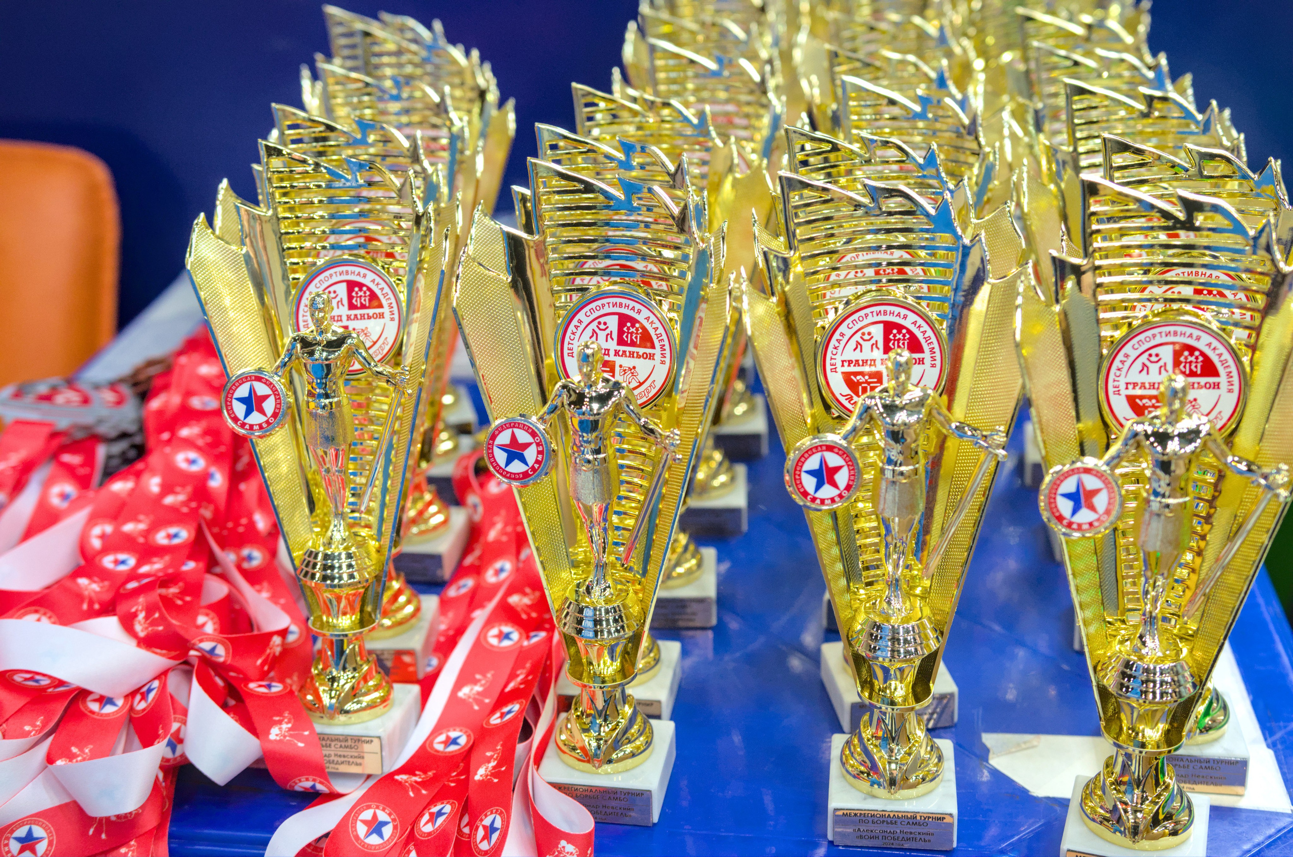 Самбо. Турнир «Александр Невский — воин-победитель». Фото детских спортивных мероприятий и всякое интересное через объектив