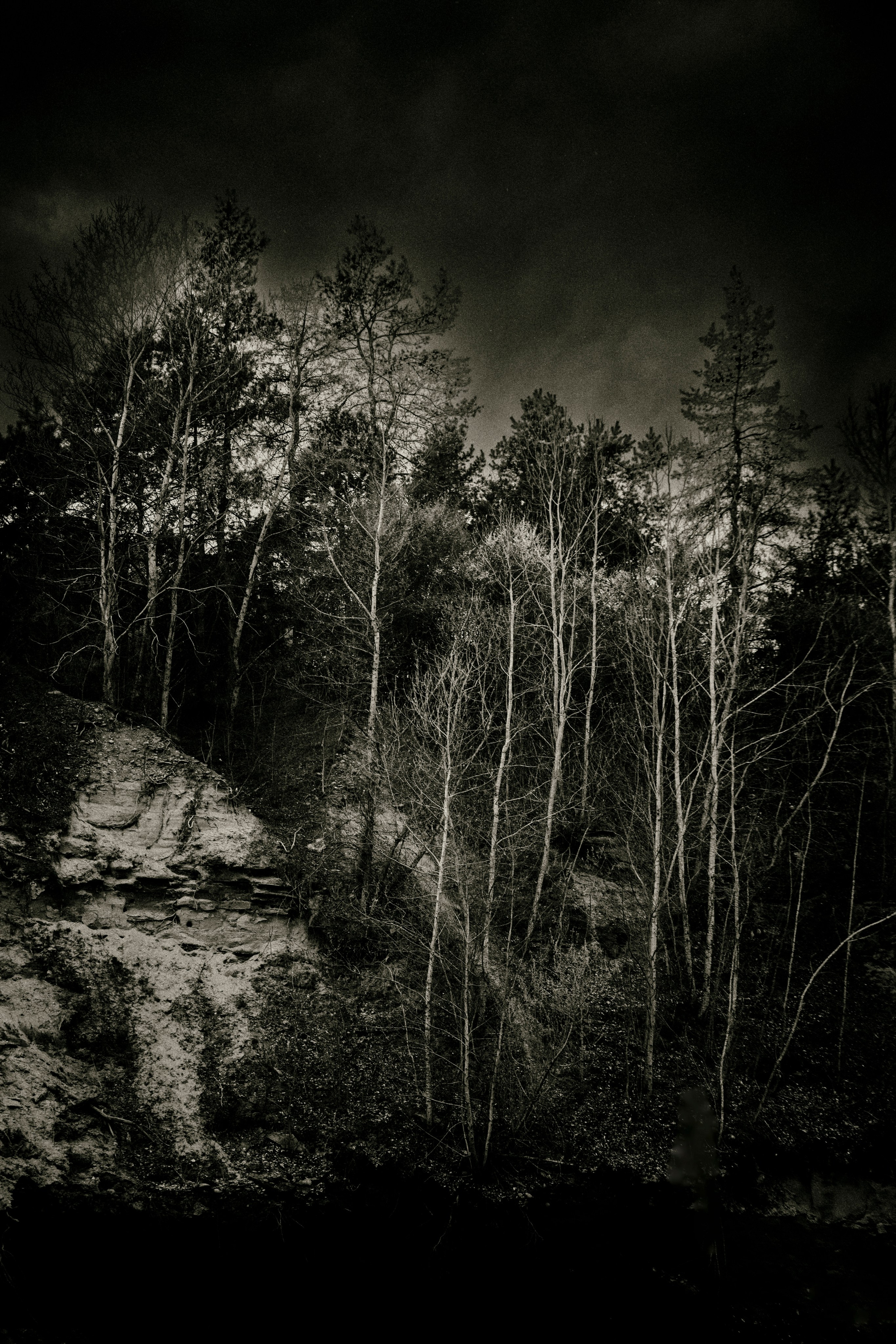 Homeland Adygea. Visual artist