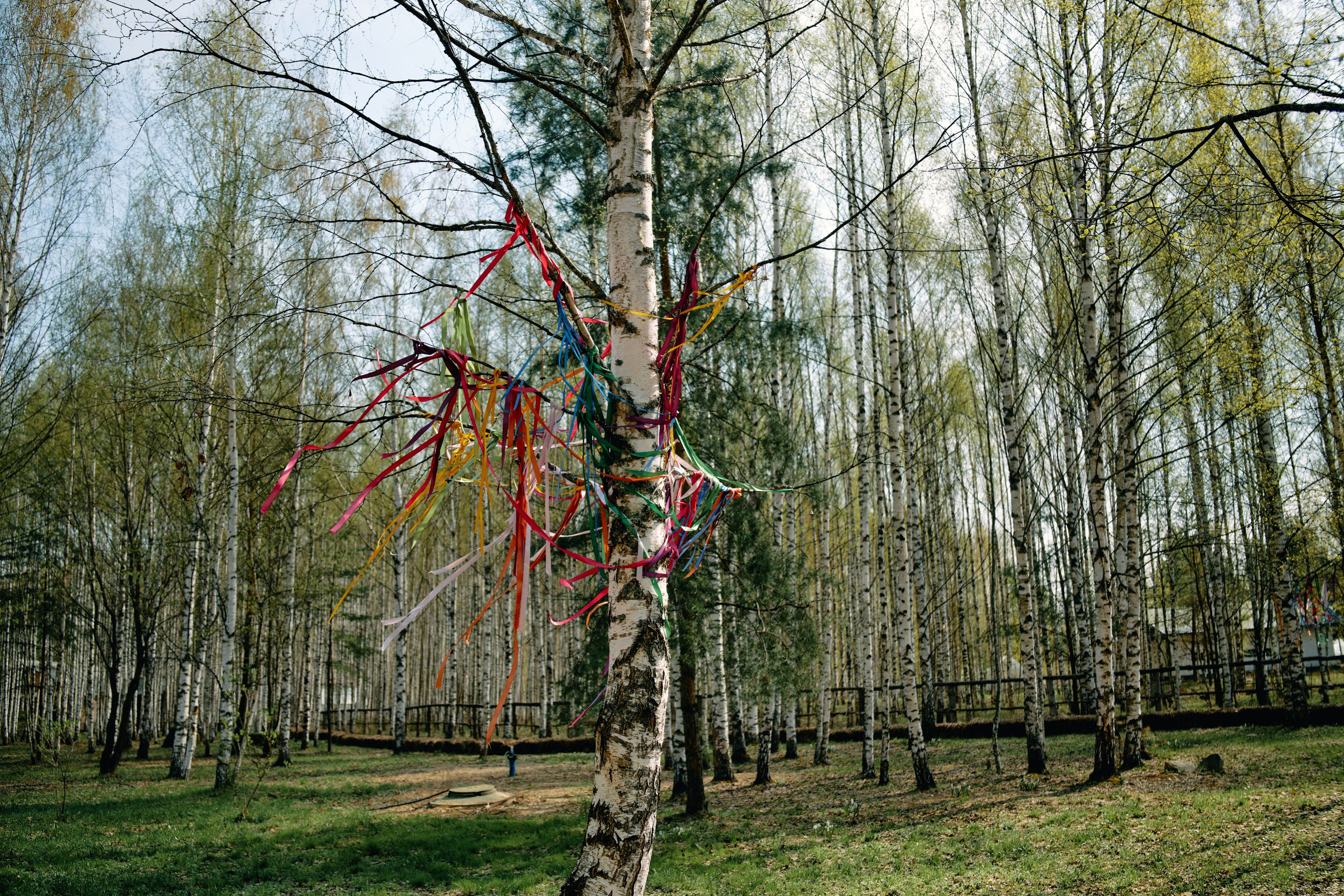 Бутик-отель Поле летом. Профессиональный Фотограф во Владимире, в Москве и в Суздале — Полина Романычева
