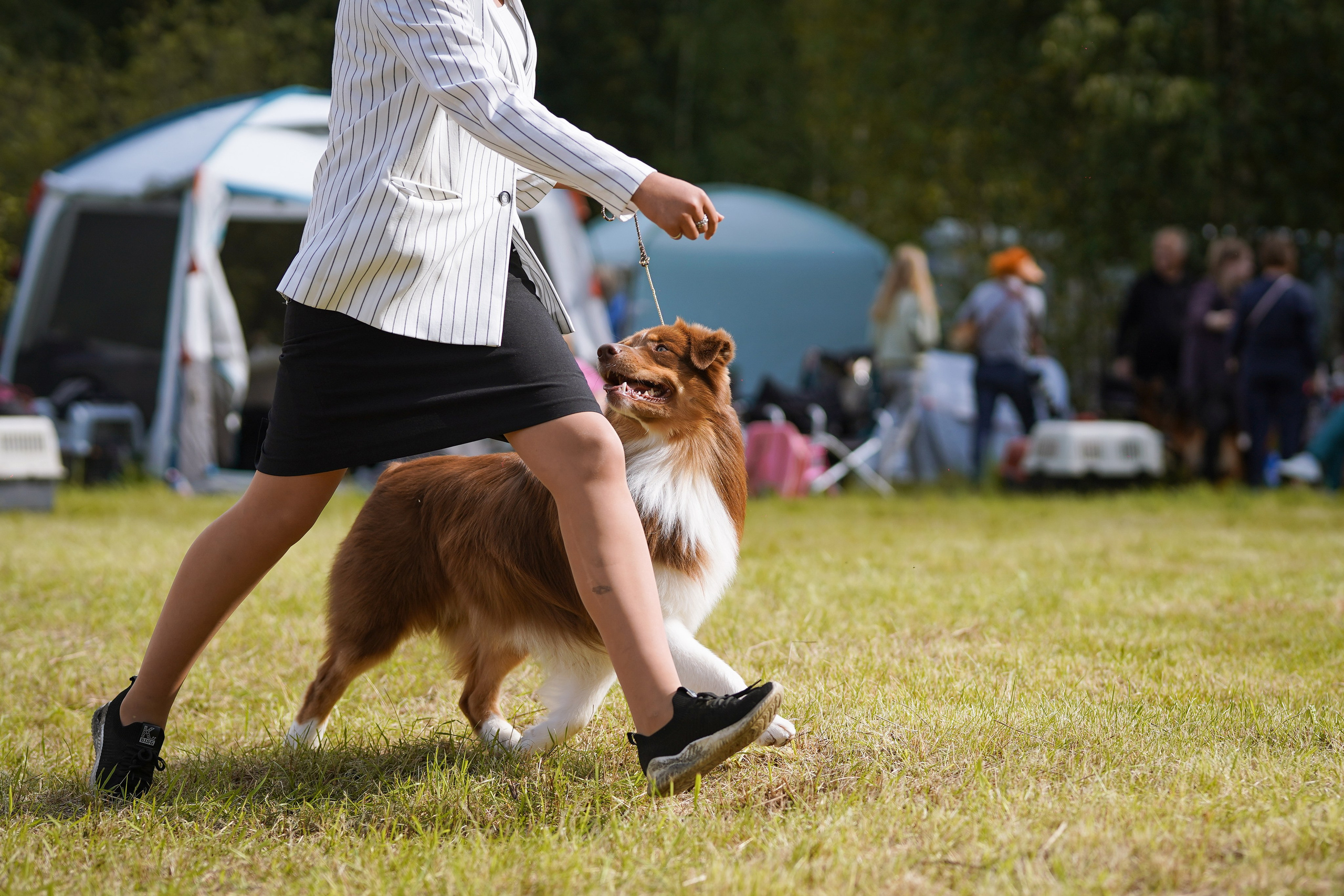Выставки 2023. Фотограф-анималист в Санкт-Петербурге Яна Мартынова