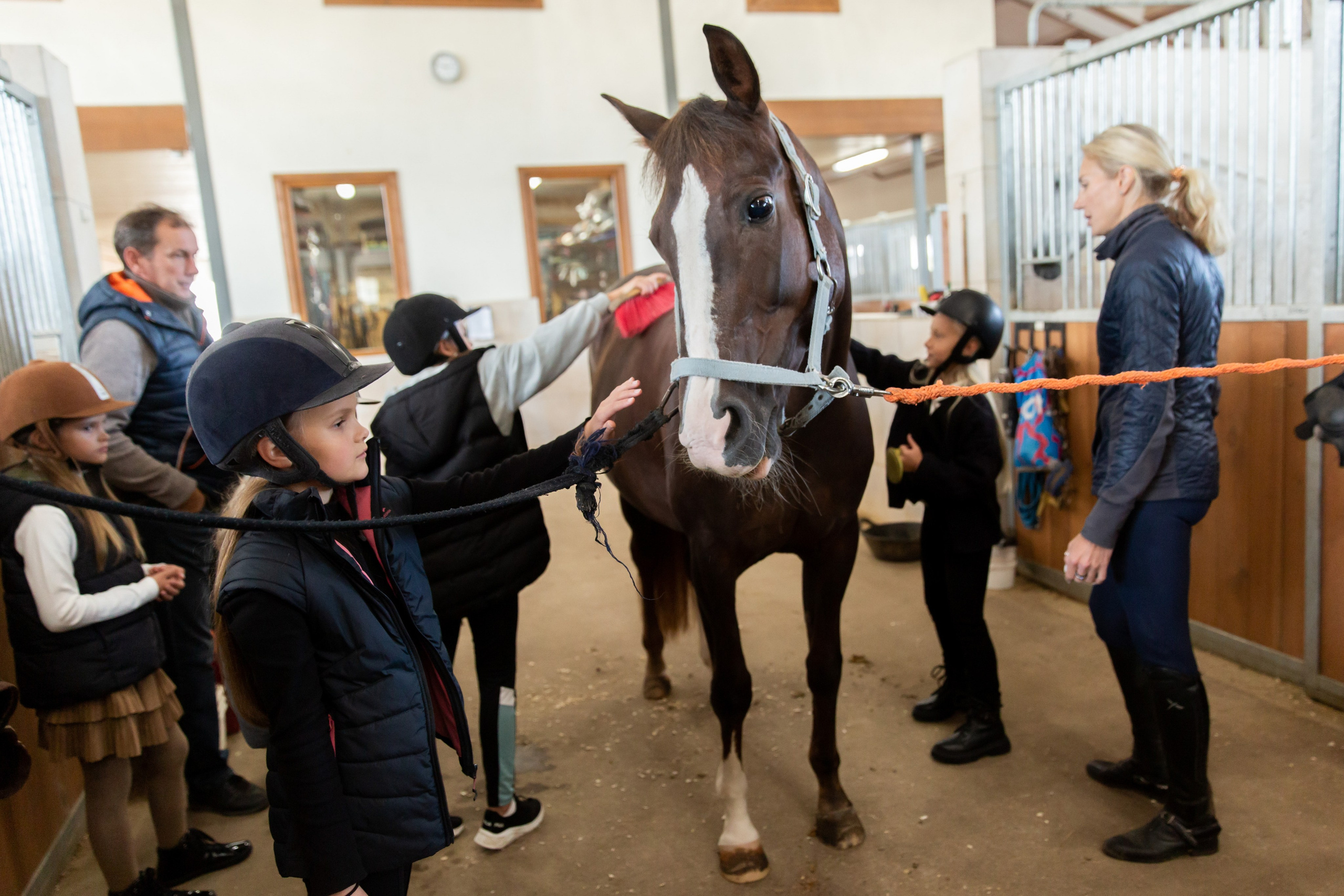 Конюшня. Снимаю съемки