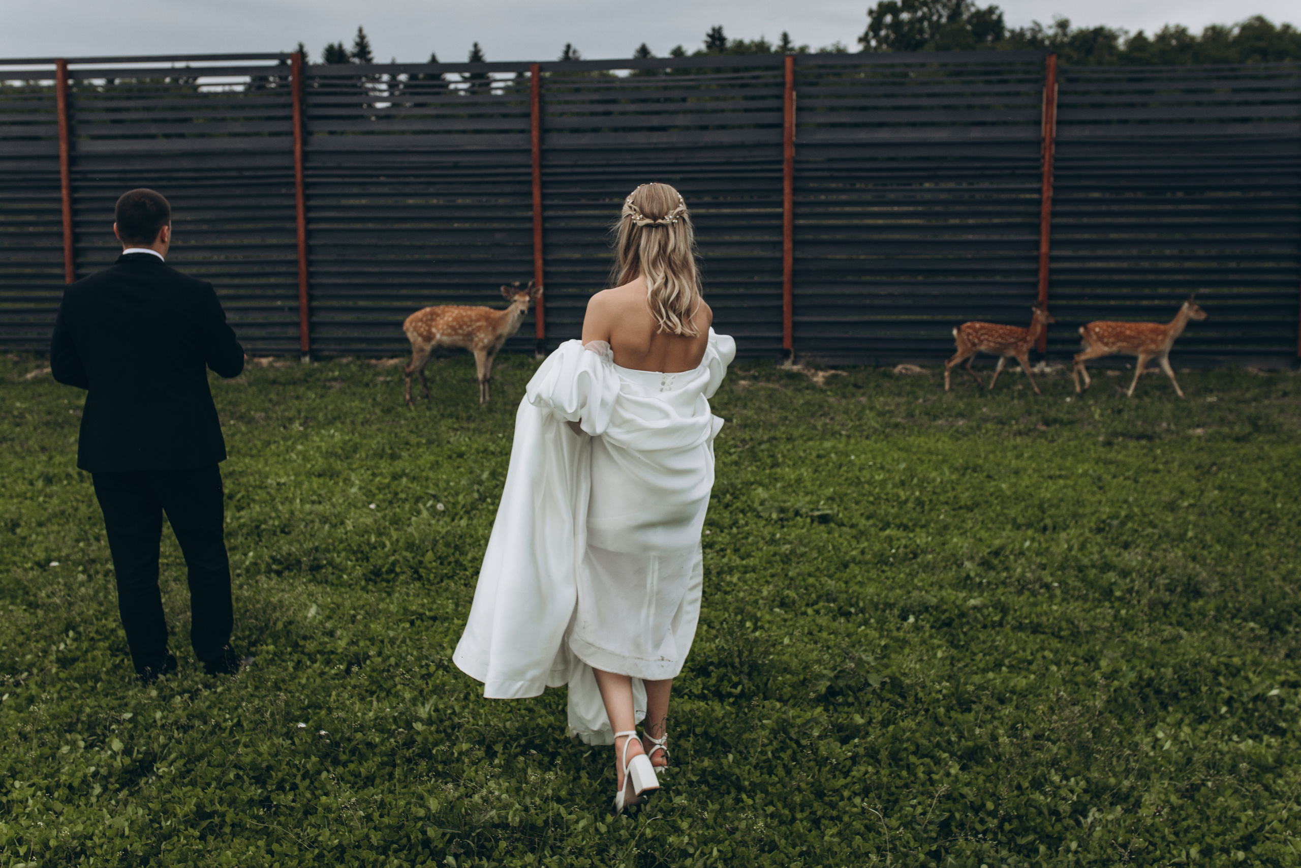 София и Александр. Фотограф Ксюша Белоносова