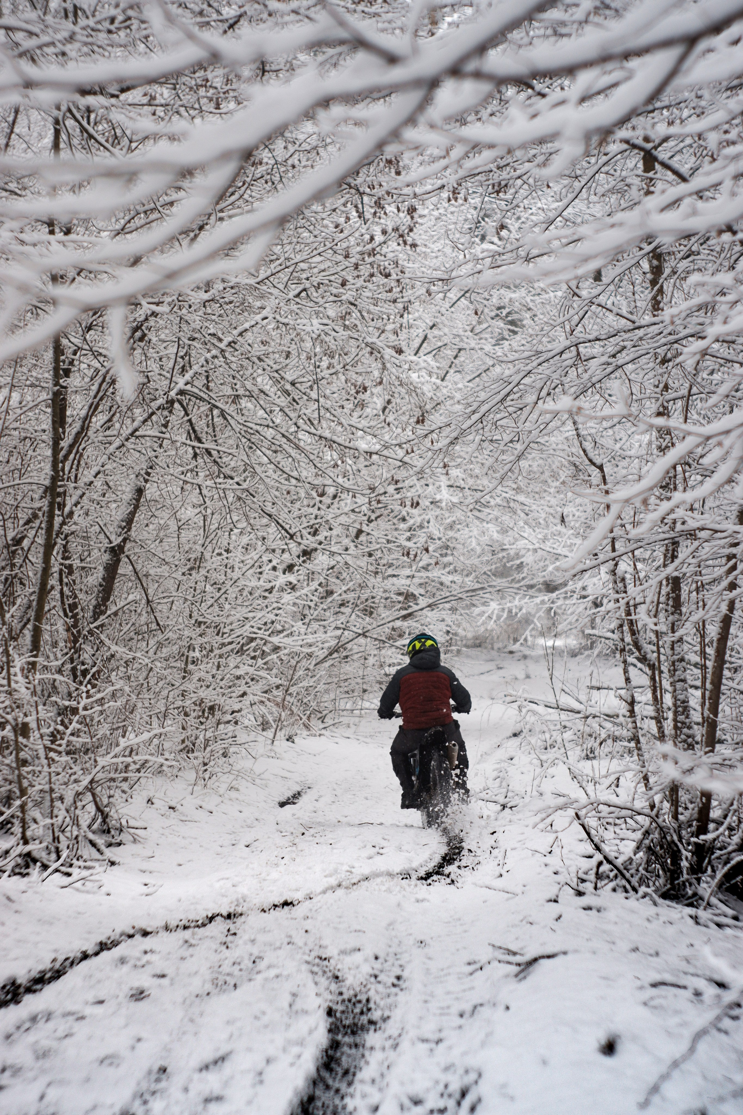 ЧБ  пейзажи (BnW landscape). Фотограф (photographer) Lischinski Vitaliy