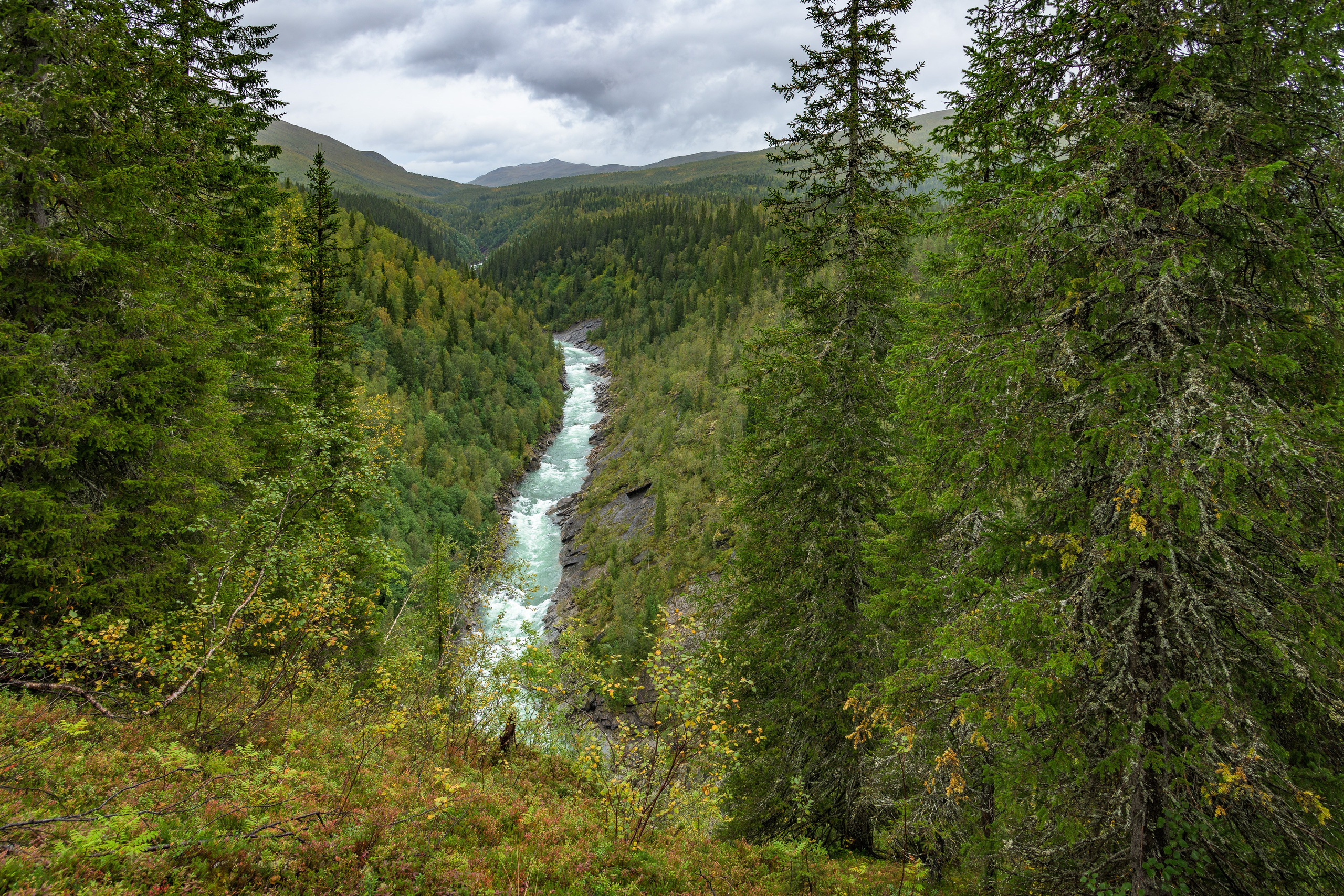 Норвегия. Северные Ночи