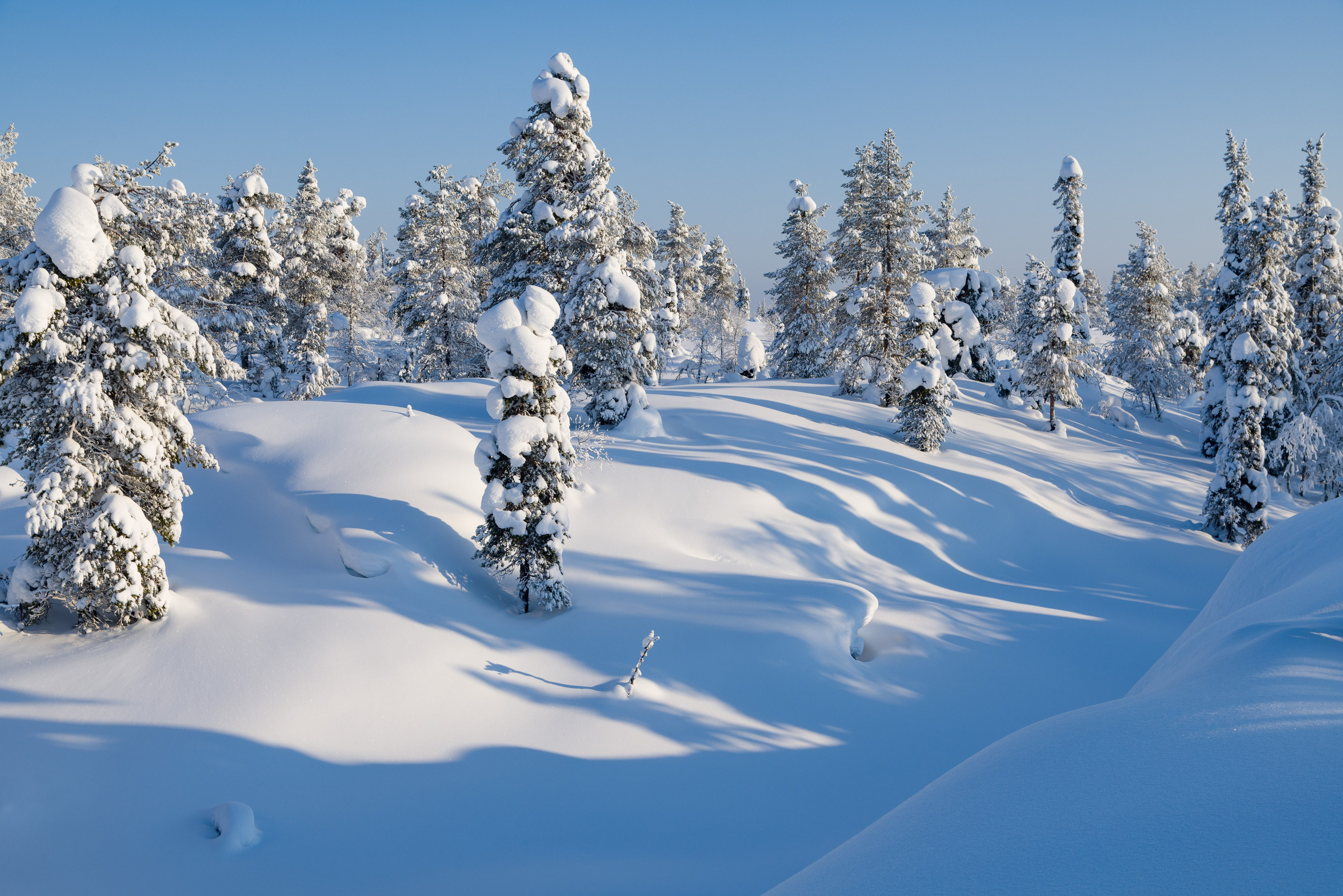 Зима. Северные Ночи