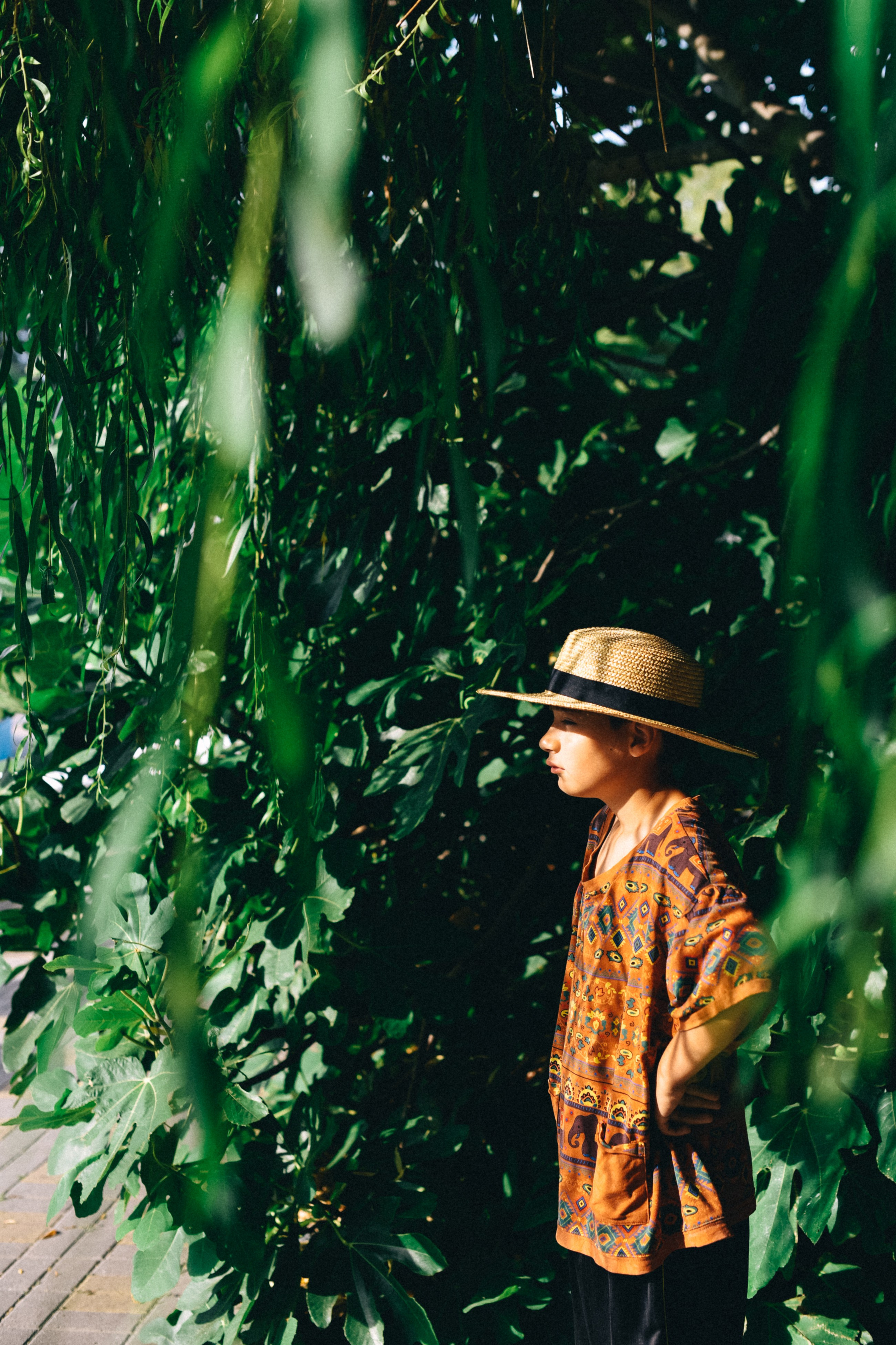 В ожидании Ван Гога