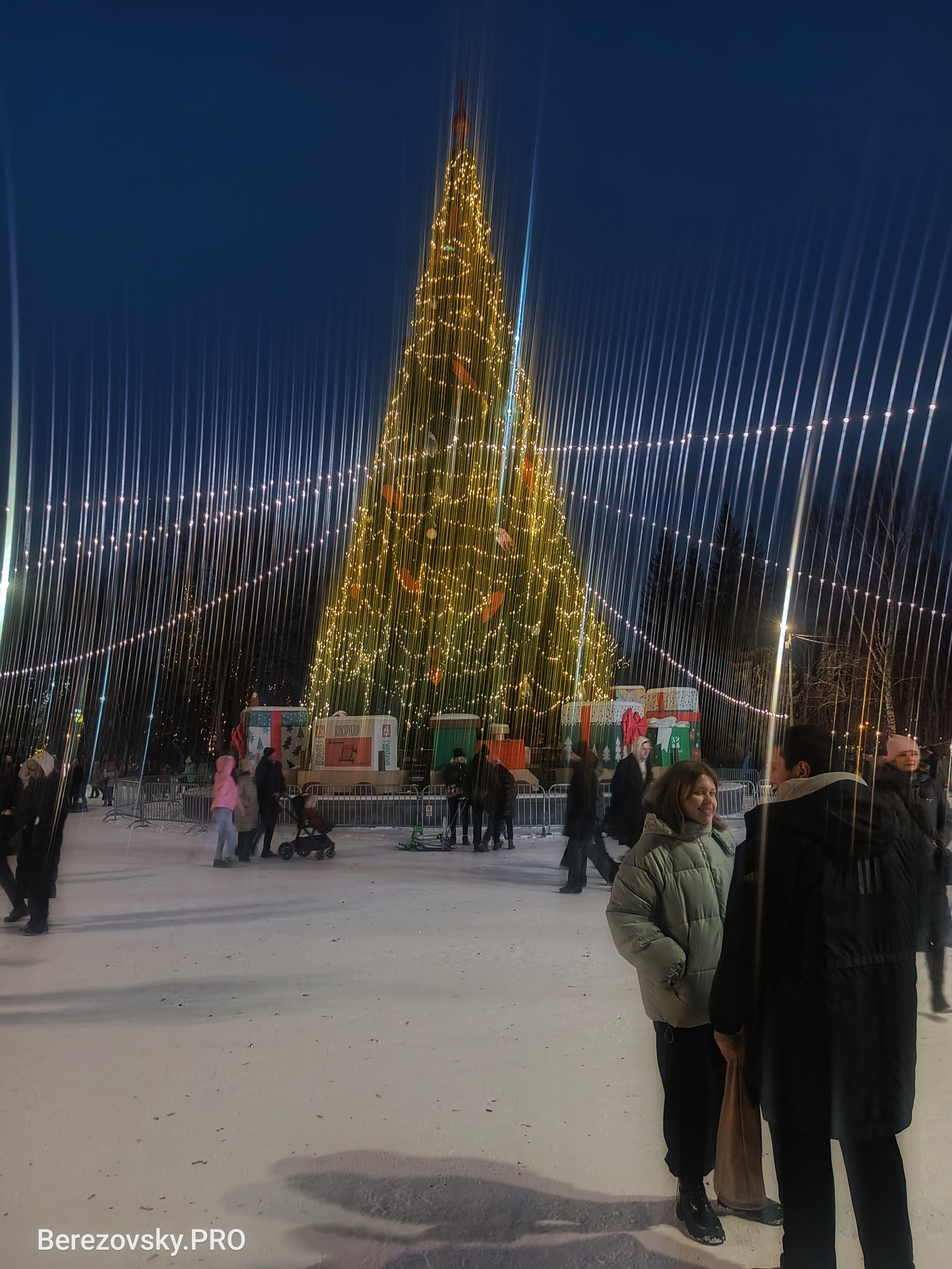 Солнечный. Фотограф в Санкт-Петербурге Березовский Даниил
