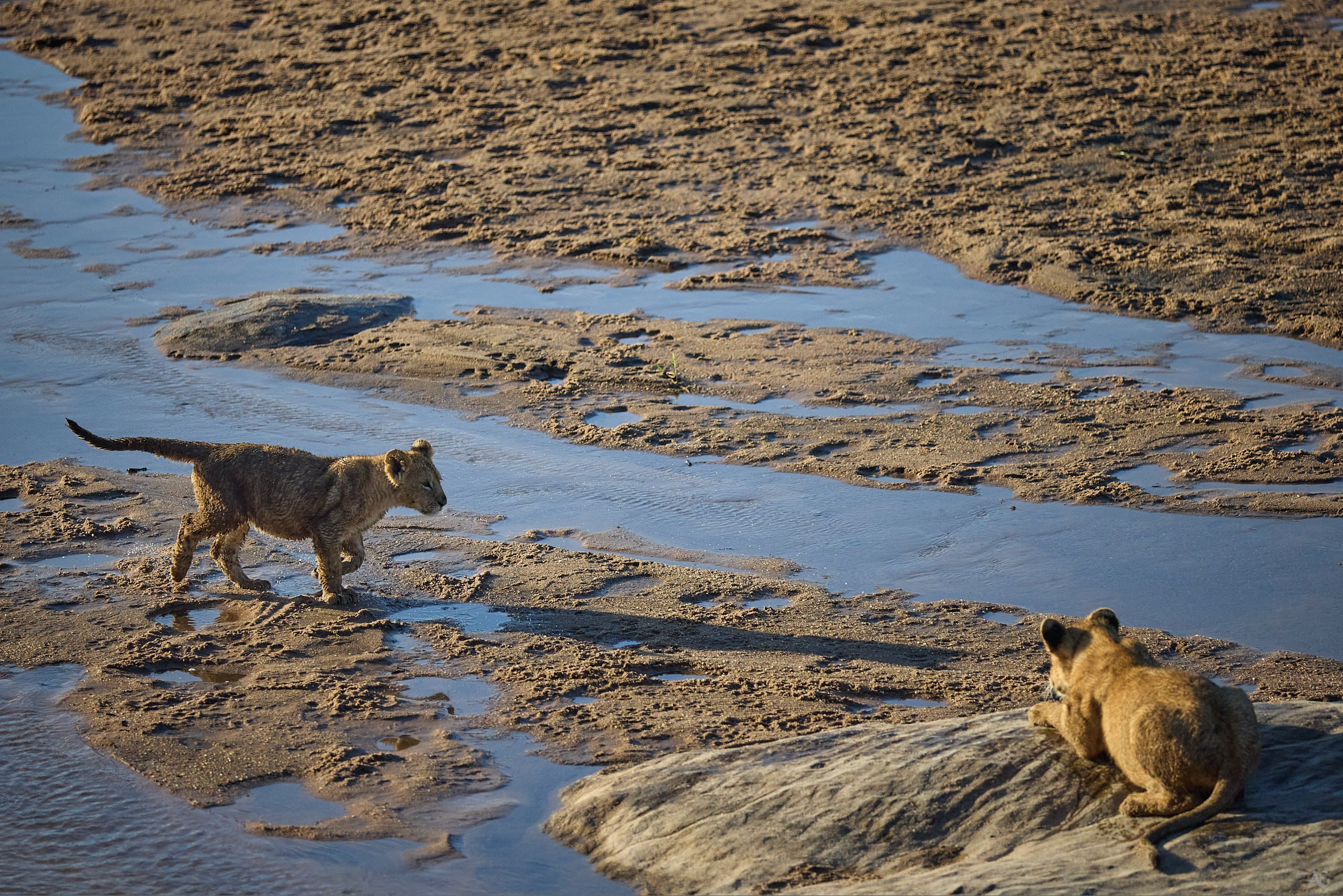 Тренируй навыки с детства