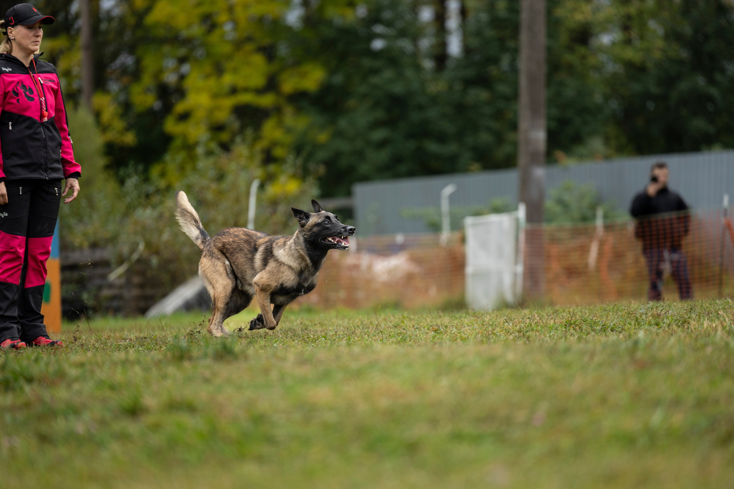 Испытания по Мондьорингу г. Пушкин. Фотограф-анималист Анна Маринич