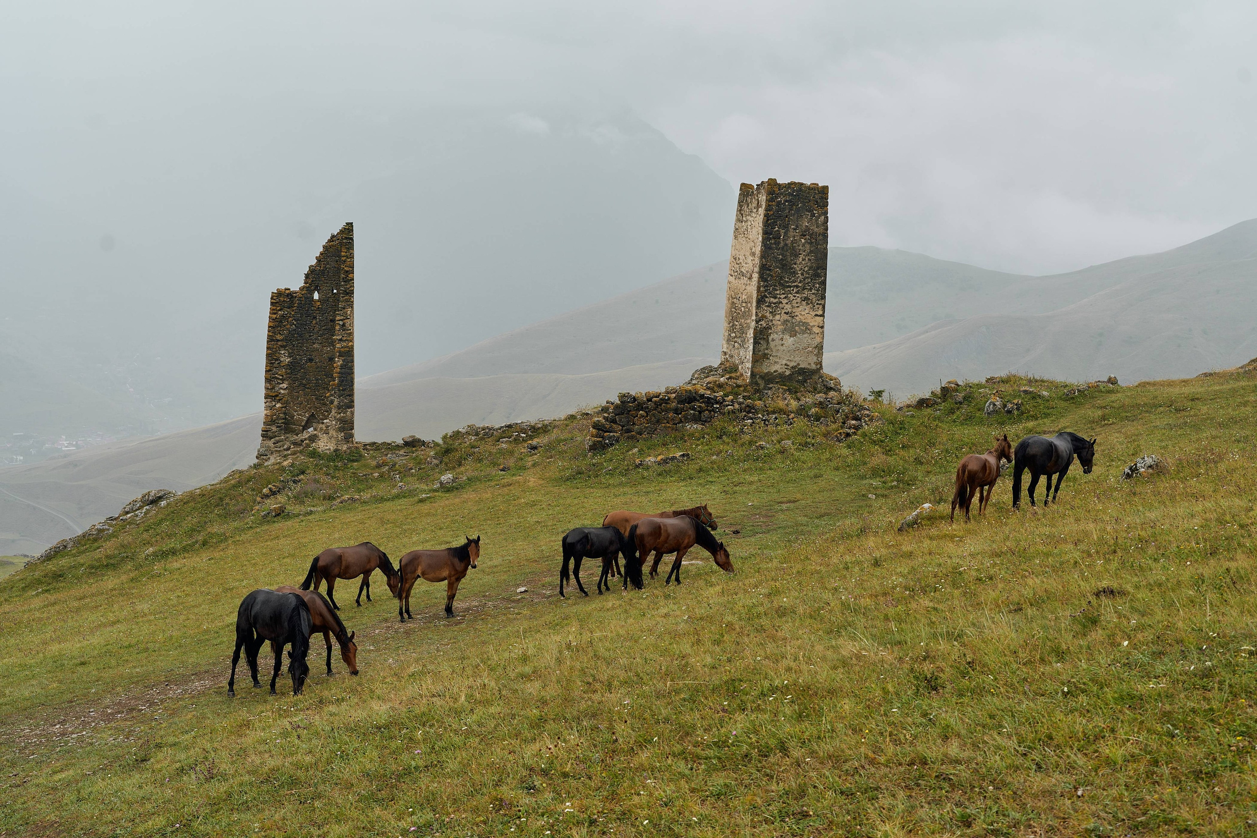 Блог. Фотограф и видеограф Елена Хмелевская