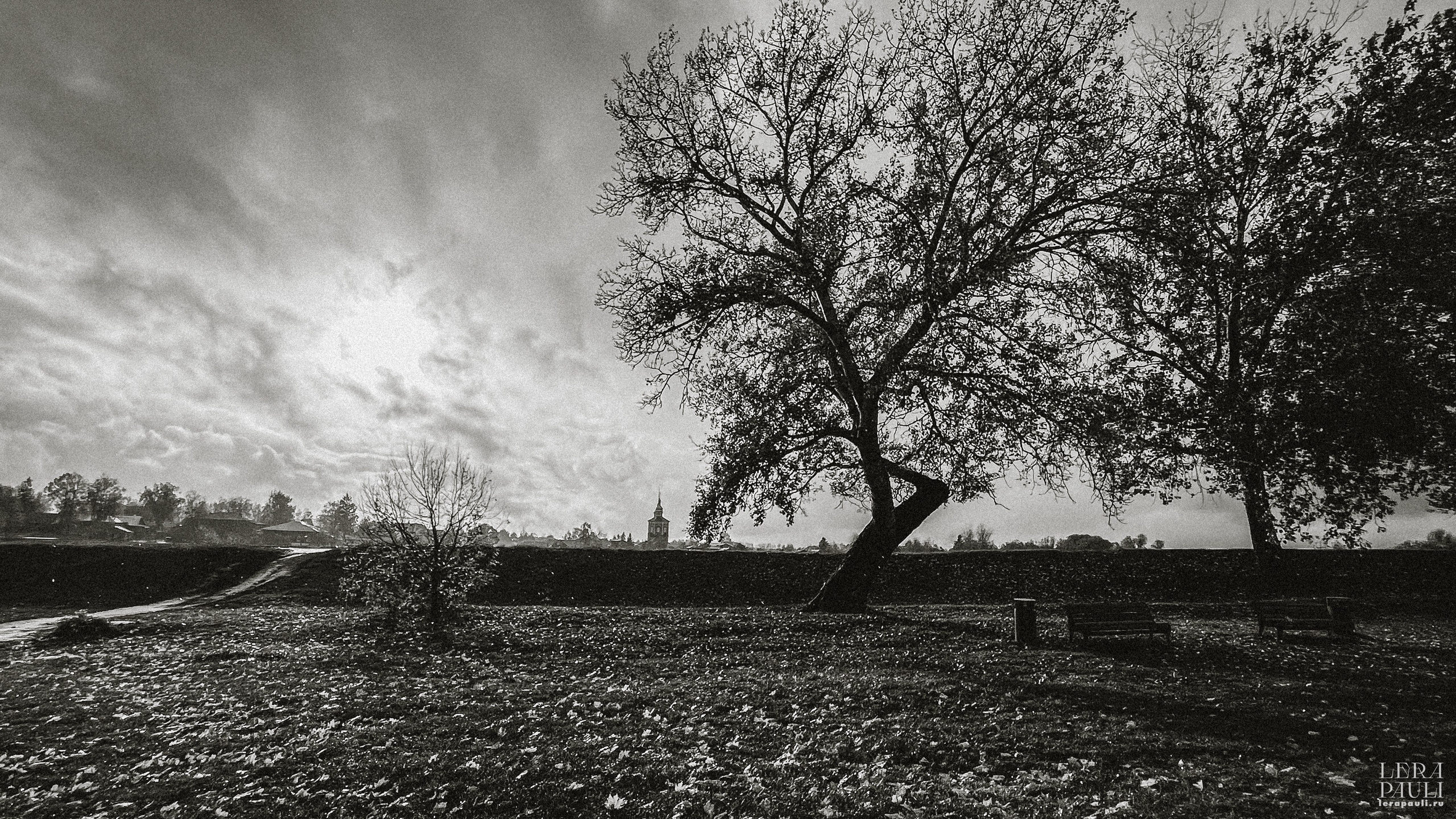 Суздаль. Главная