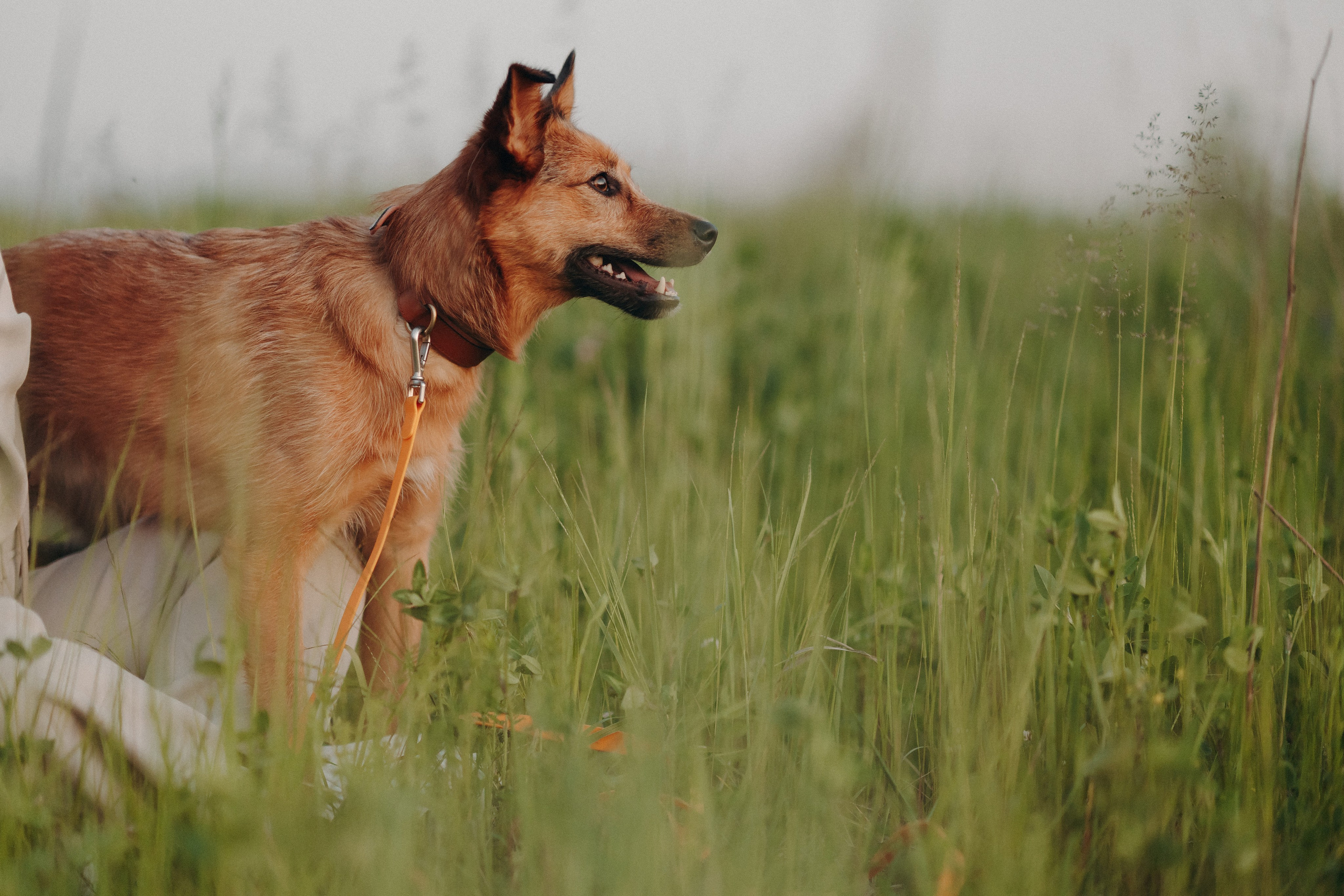 Яна и Санька. Главная