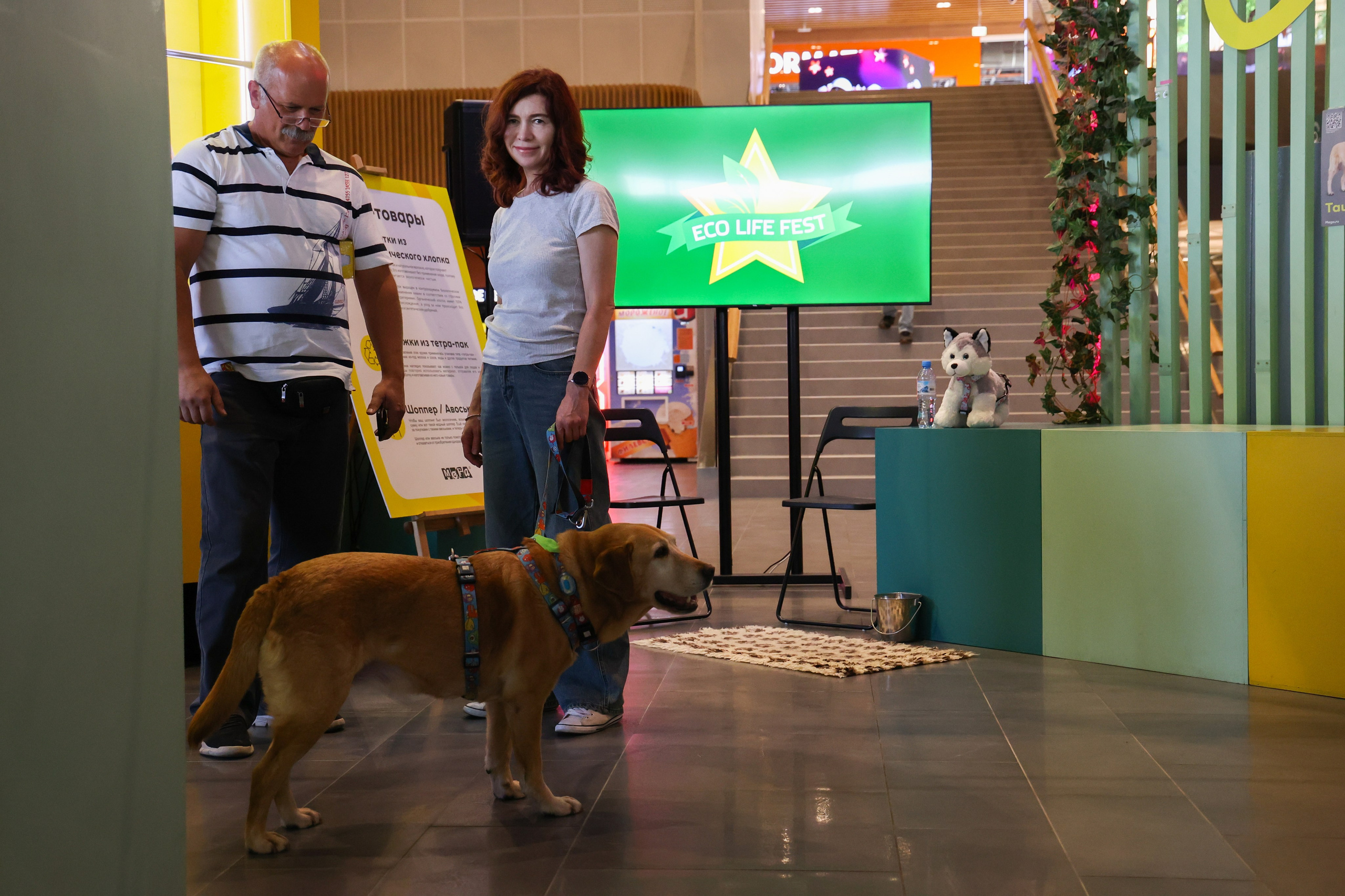 ECO FEST. Фотограф Вадим Бодылев