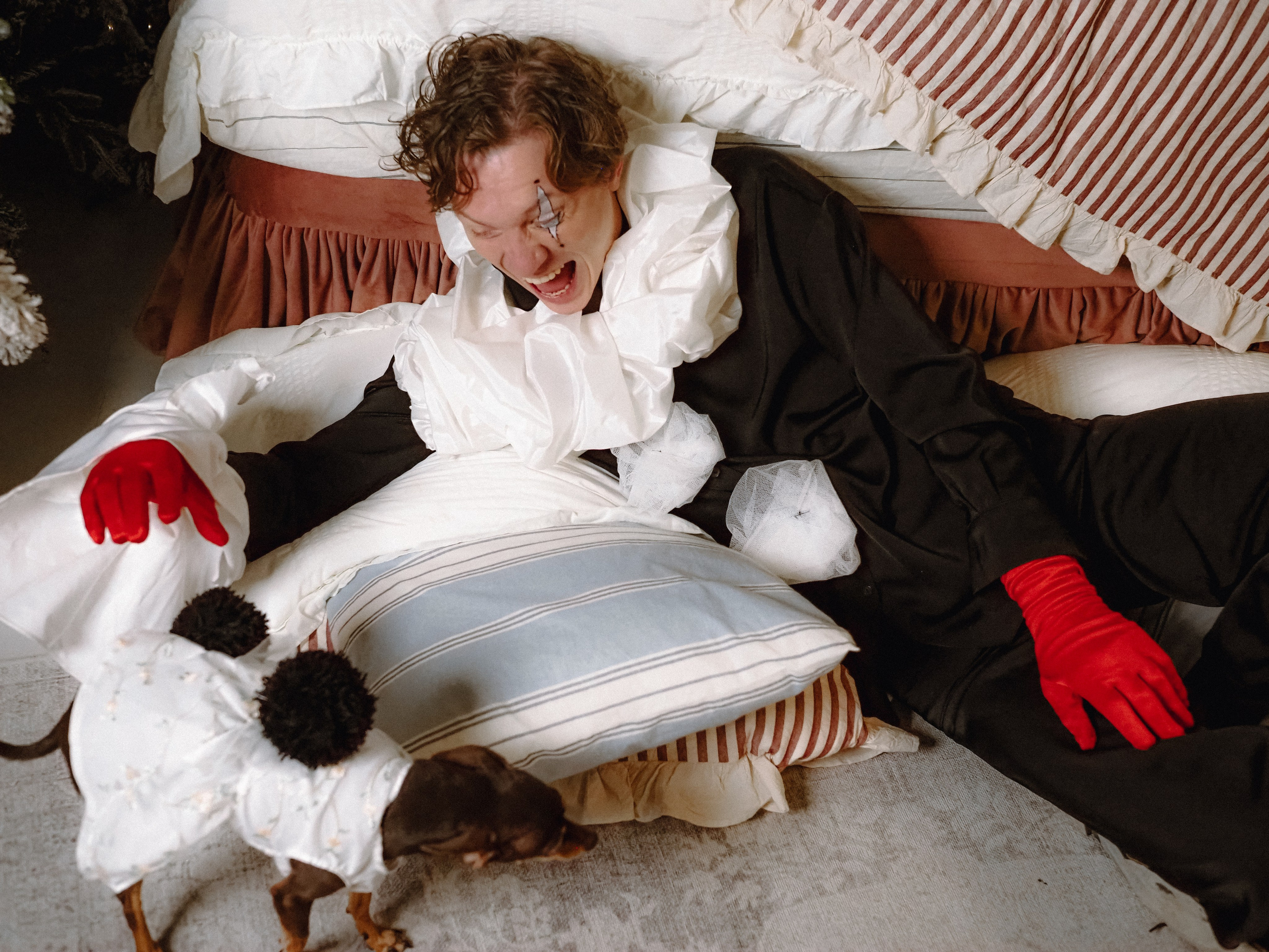 Arlequin. Фотограф Рязань. Семейный Свадебный фотограф