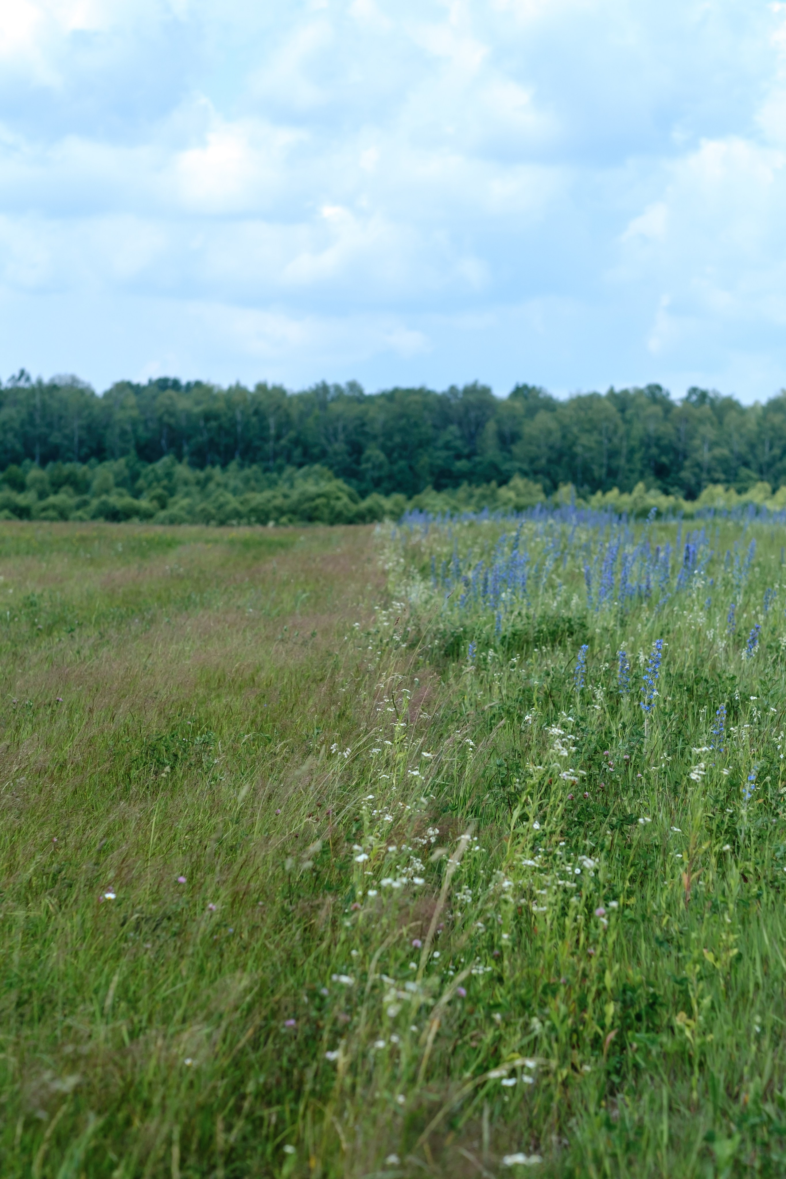 Архстояние детское 2023. Семейный и детский фотограф в Москве Светлана Потемкина