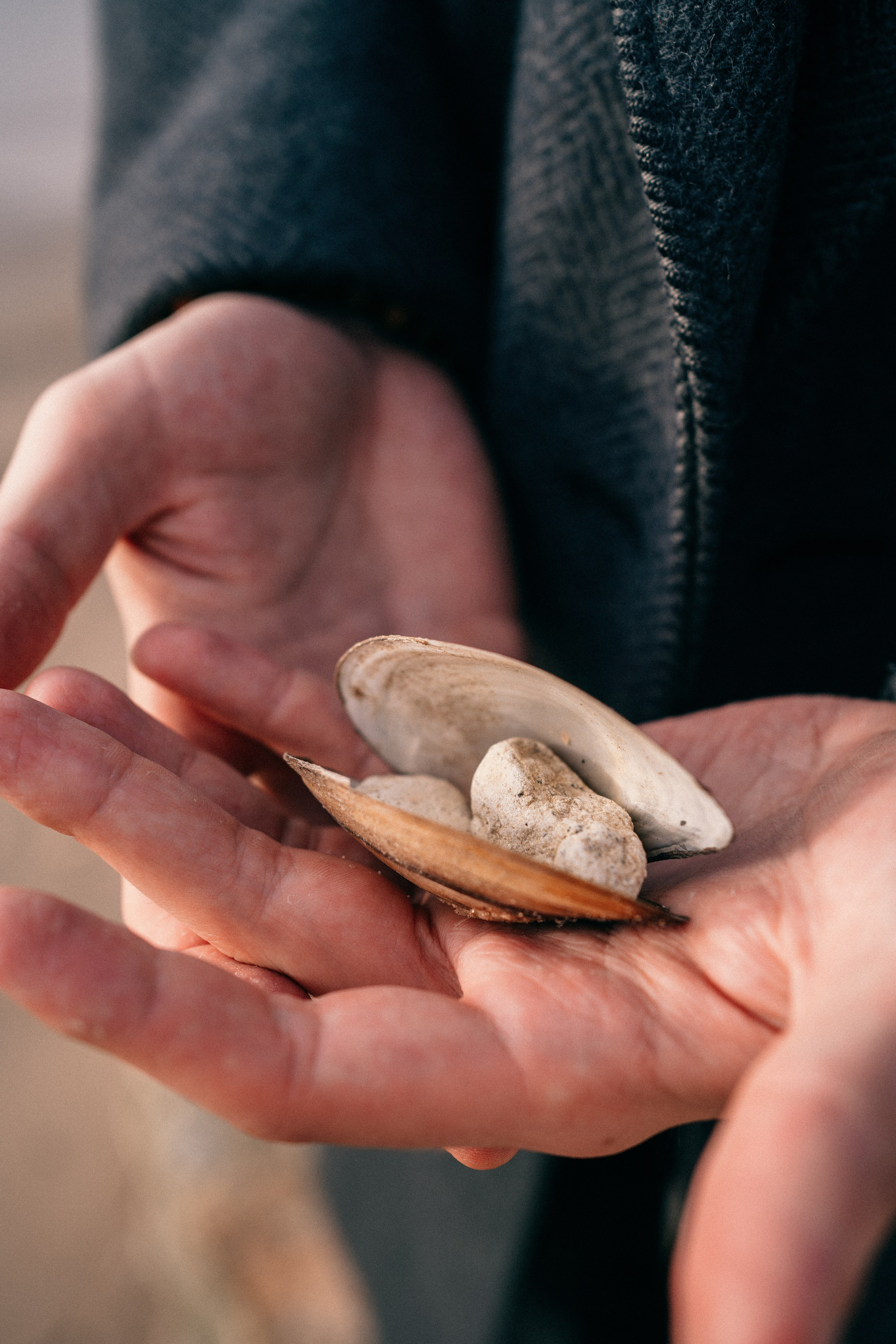 Daniel. Фотограф в Москве Маша Игитова