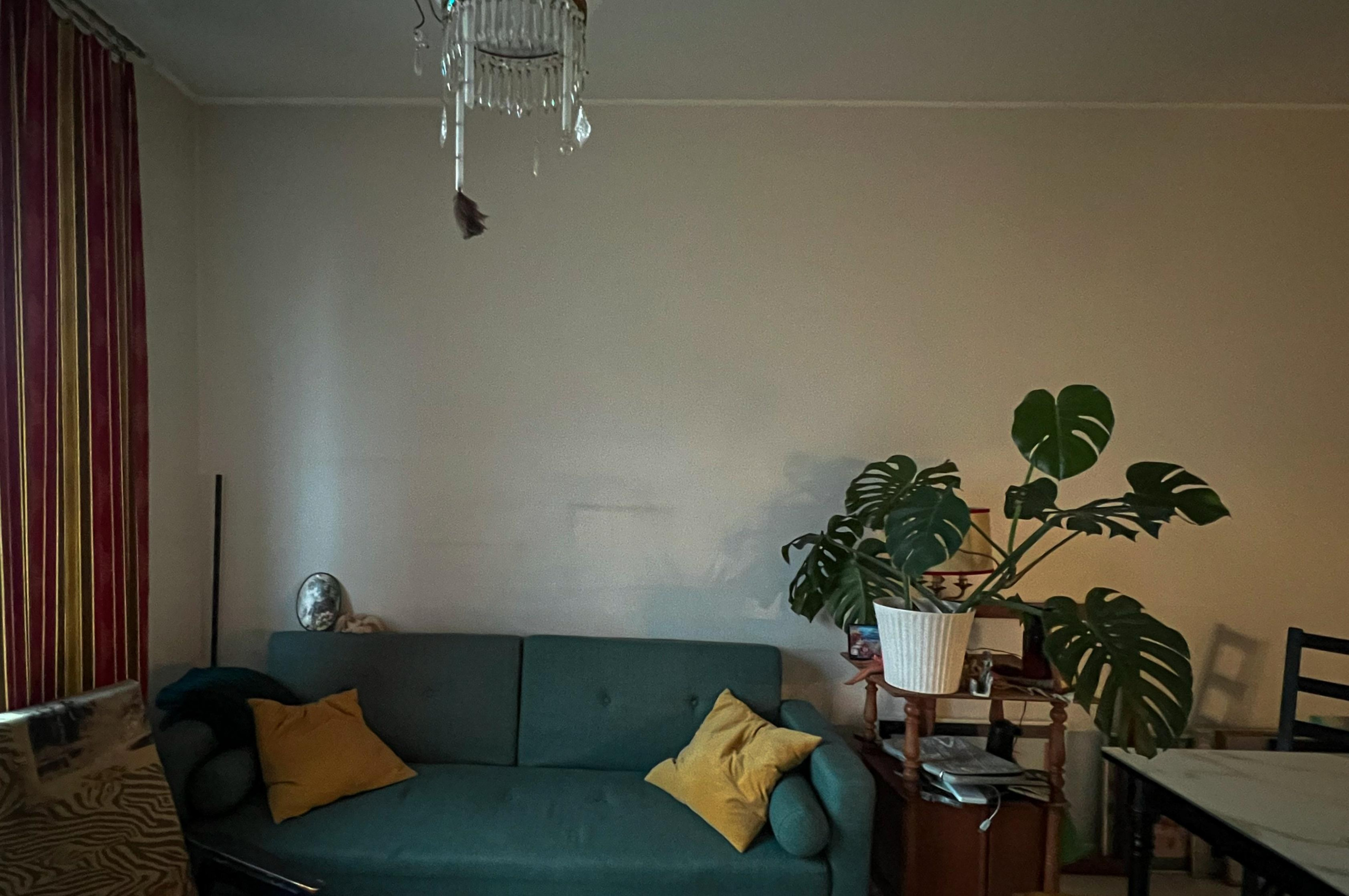 Выставка. Репортажный и портретный фотограф, Влад Хафизов, Москва