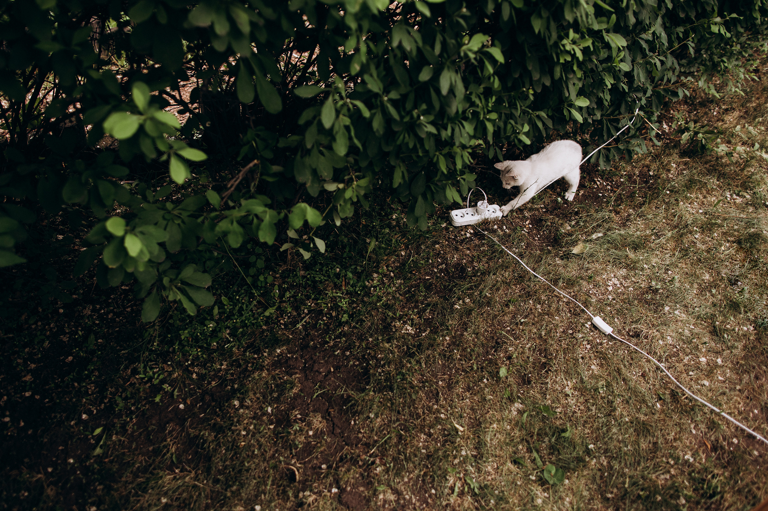 Вячеслав + Ирина. Александр Видякин Фотограф в Хакасии и Красноярском крае