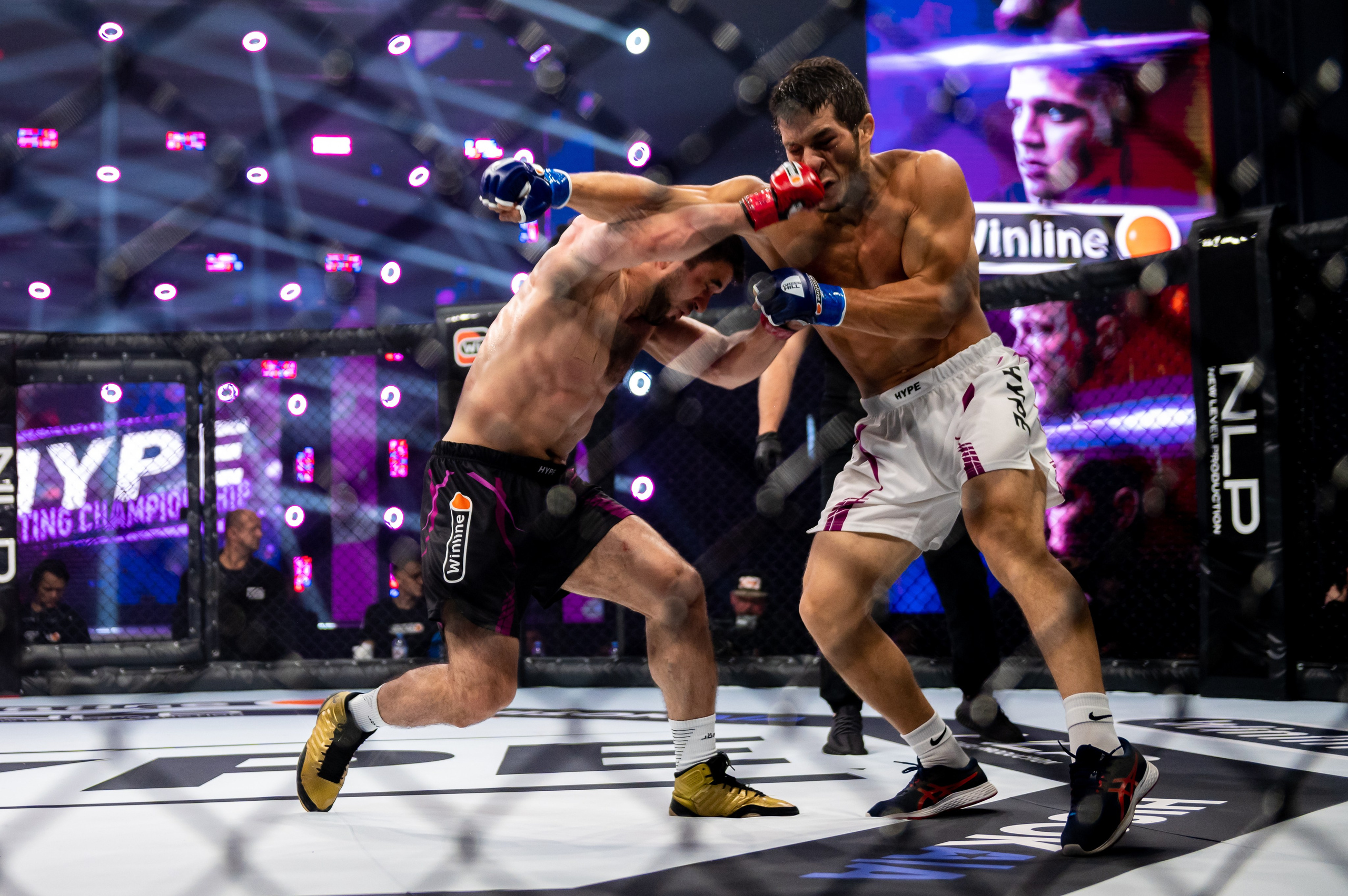 Бои. Репортажный фотограф в Красной Поляне и Сочи Павлюченко Екатерина