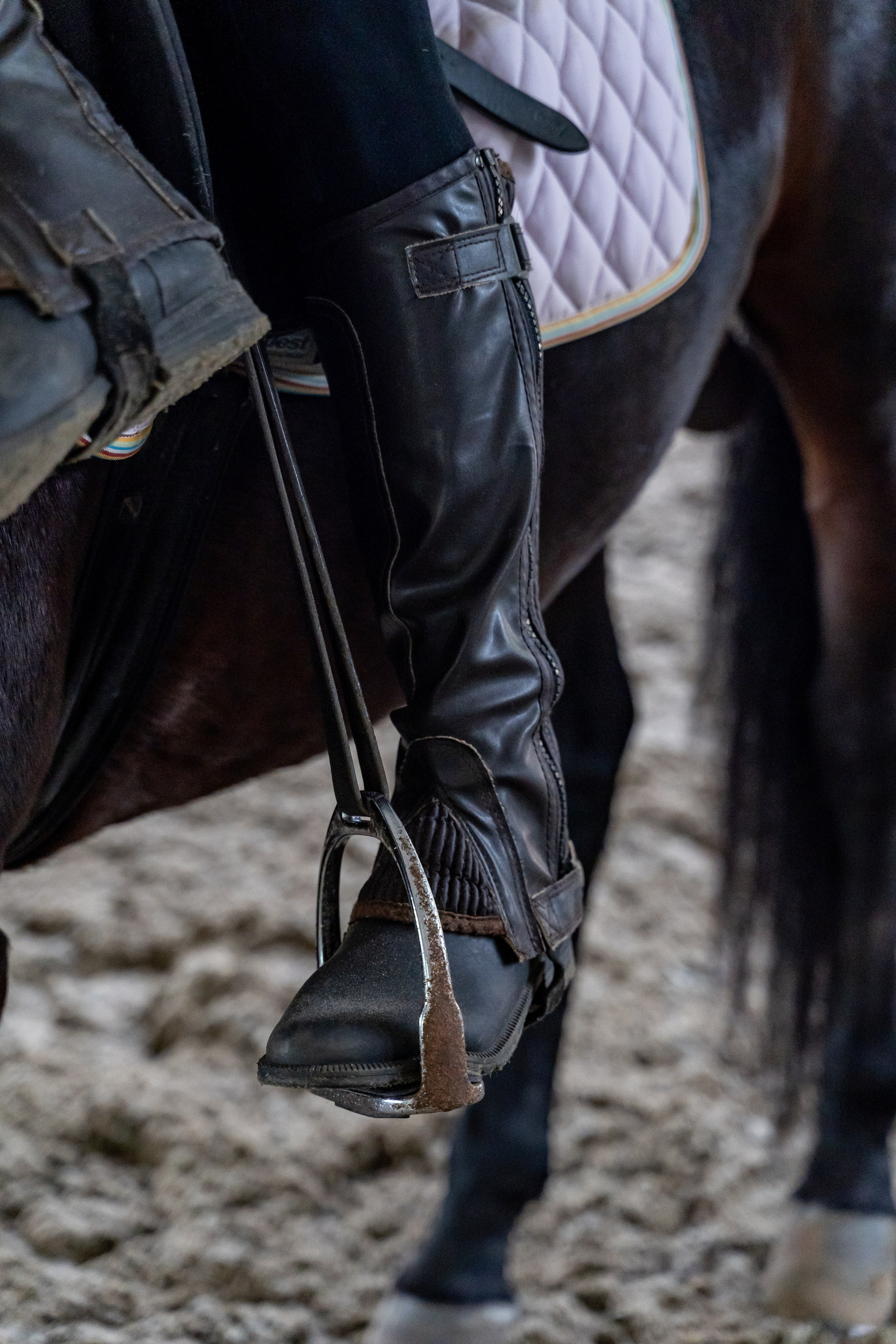 Верховая езда. Репортажный фотограф в Красной Поляне и Сочи Павлюченко Екатерина