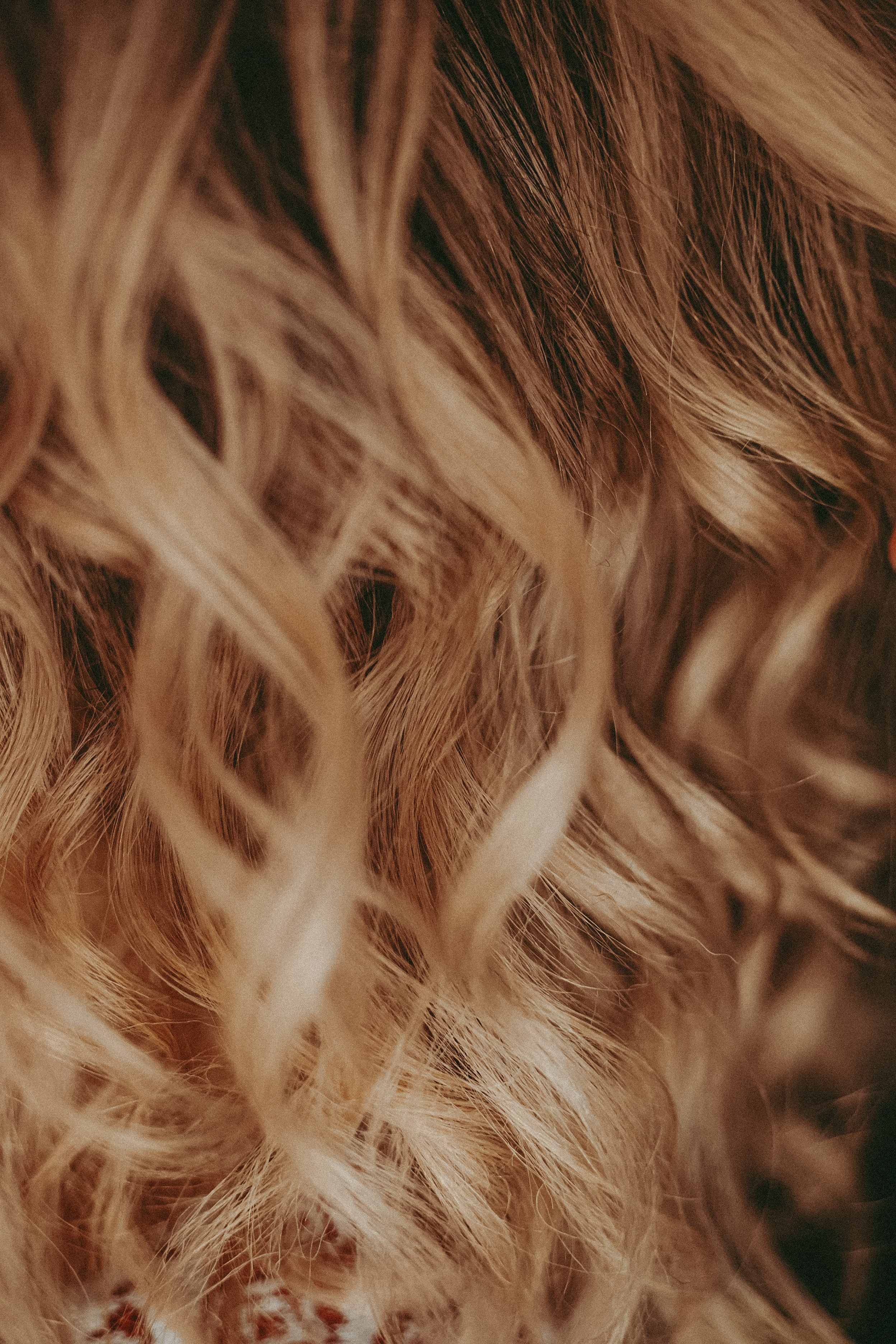 Алла и Артём. Фотограф в городе Самара Александр Гераськин