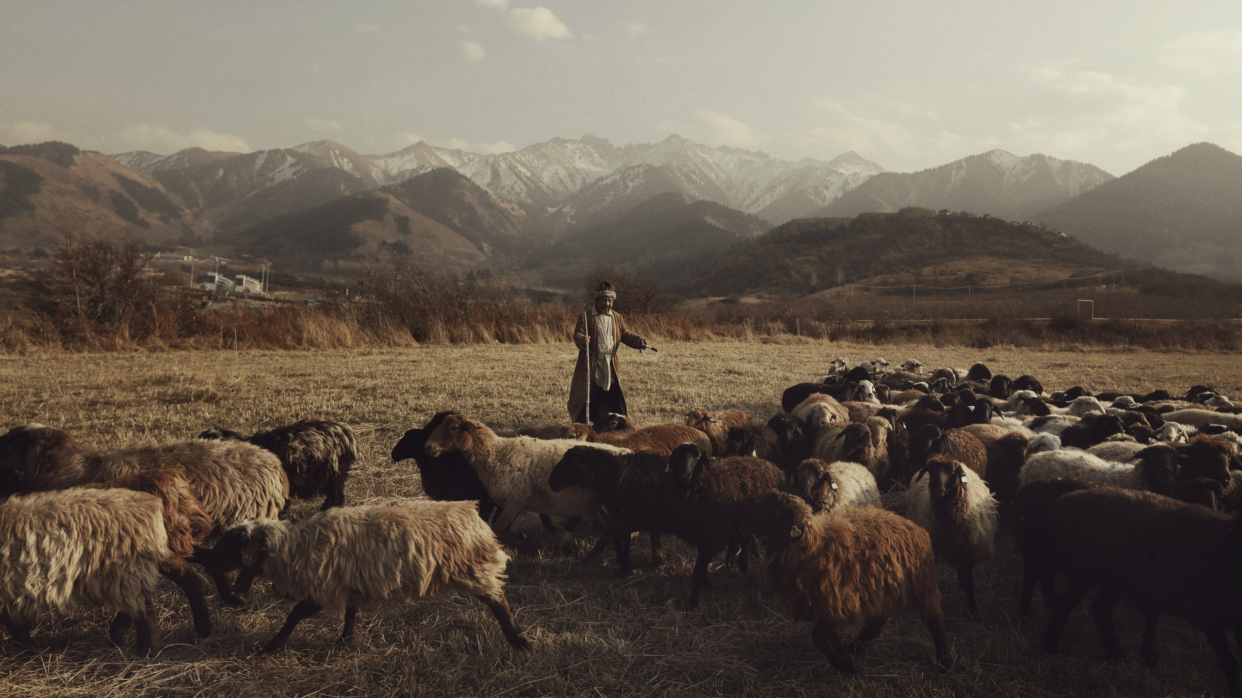 Кинематографическая фотография Кинематографический стиль в фотографии Фотокино Сюжетная фотография фотоистории Режиссер Сергей Спири. Фотограф и режиссер Сергей Спирин. Москва